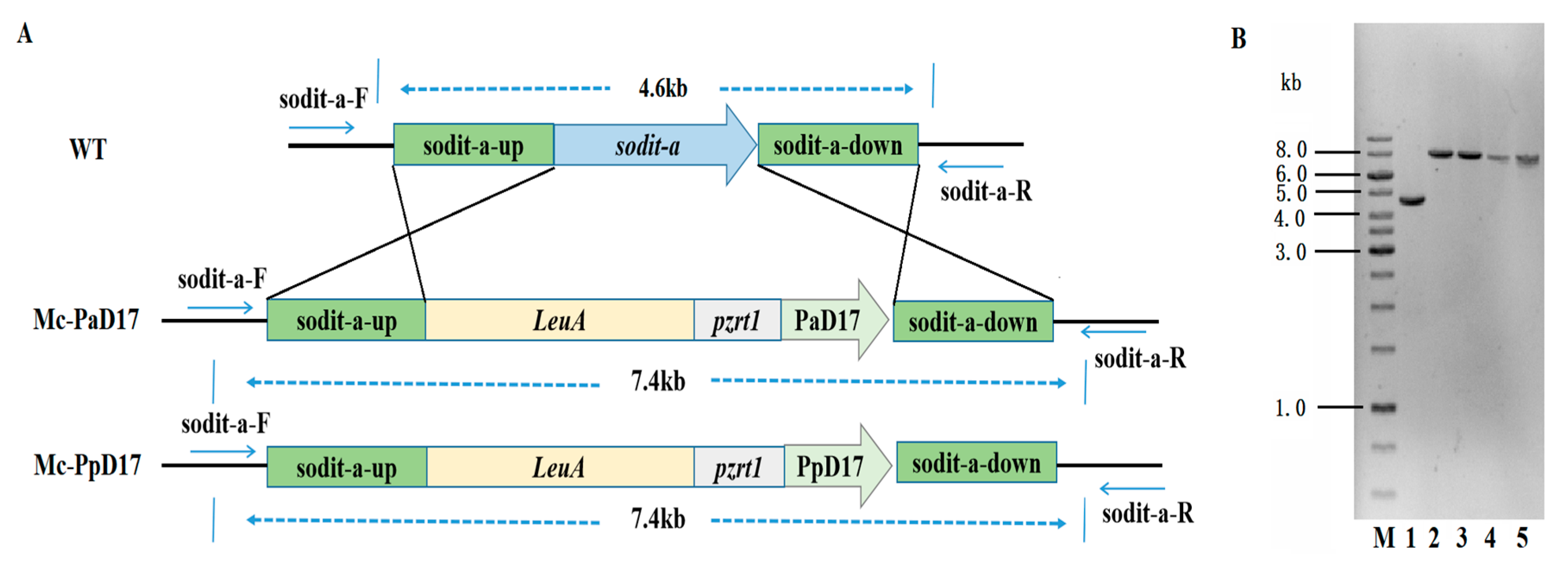 Fermentation 09 00653 g002