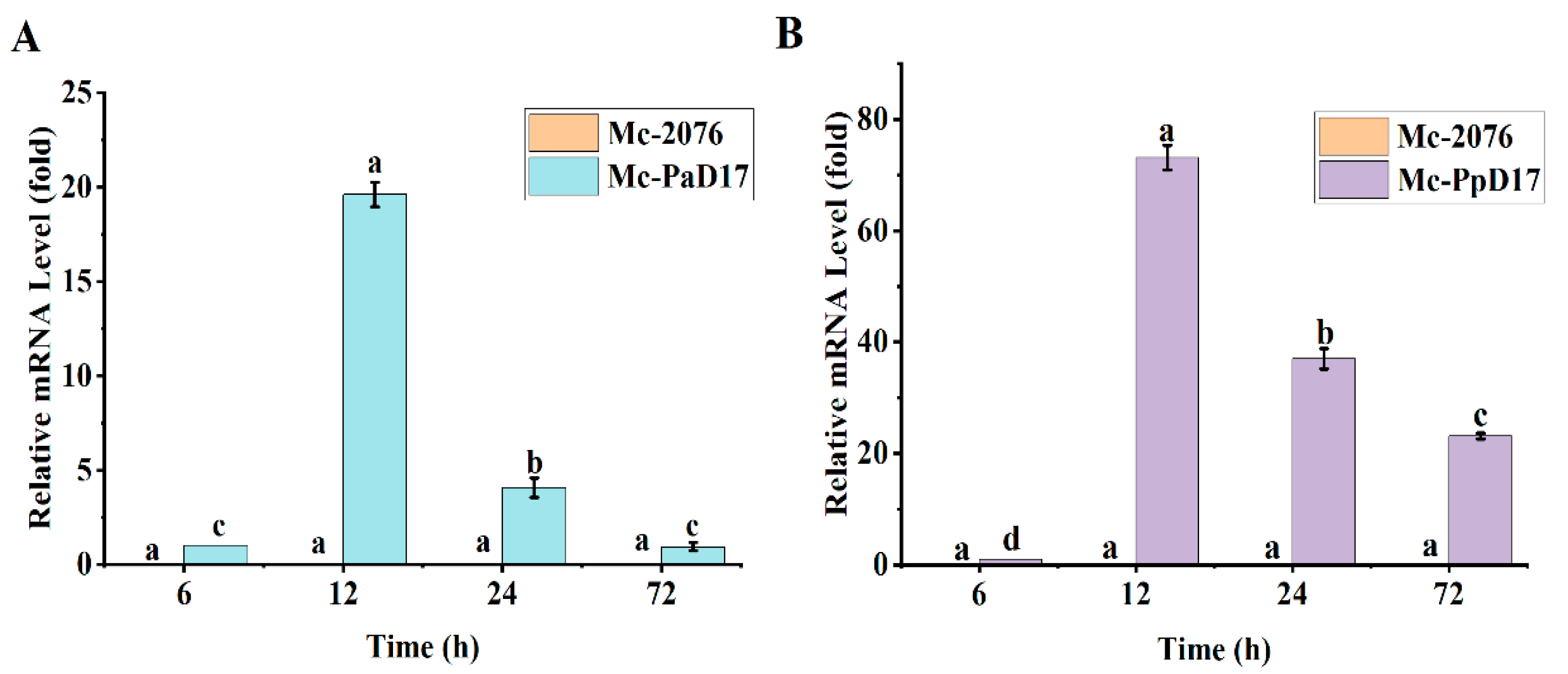 Fermentation 09 00653 g003