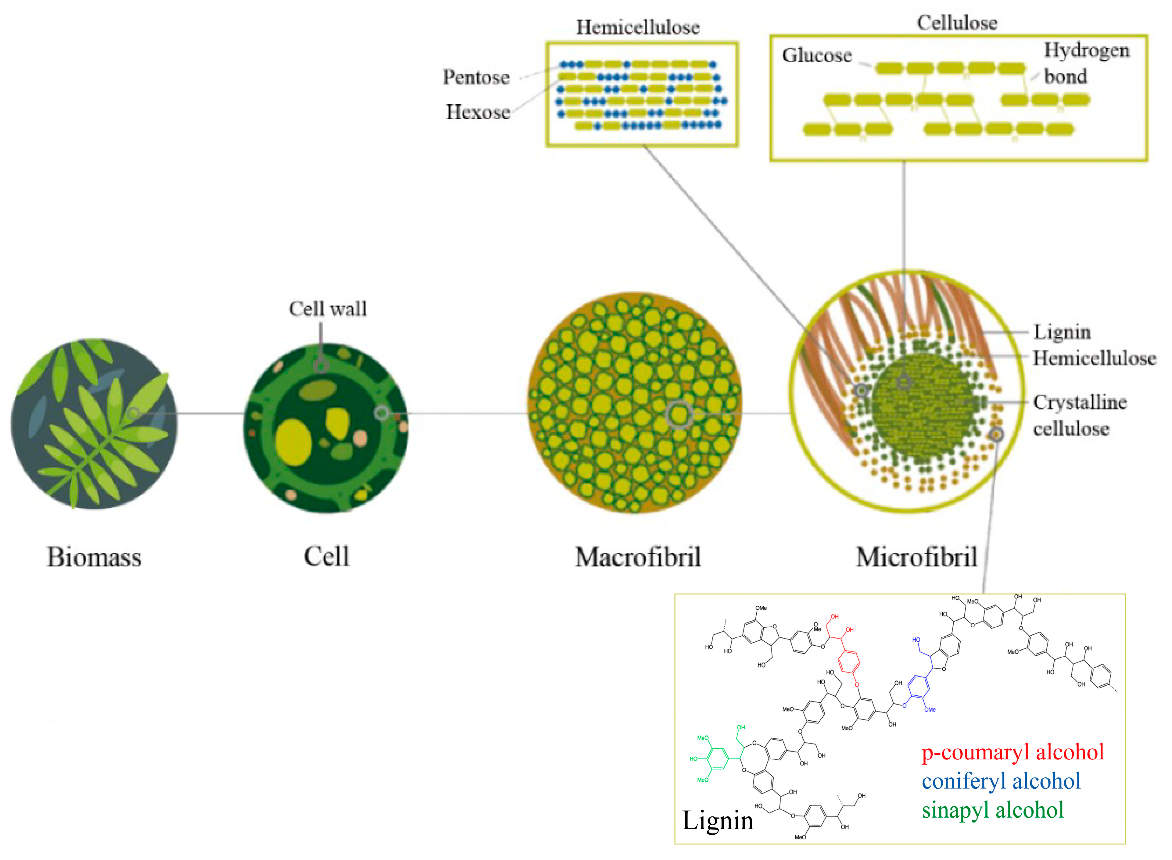 Fermentation 09 00655 g002