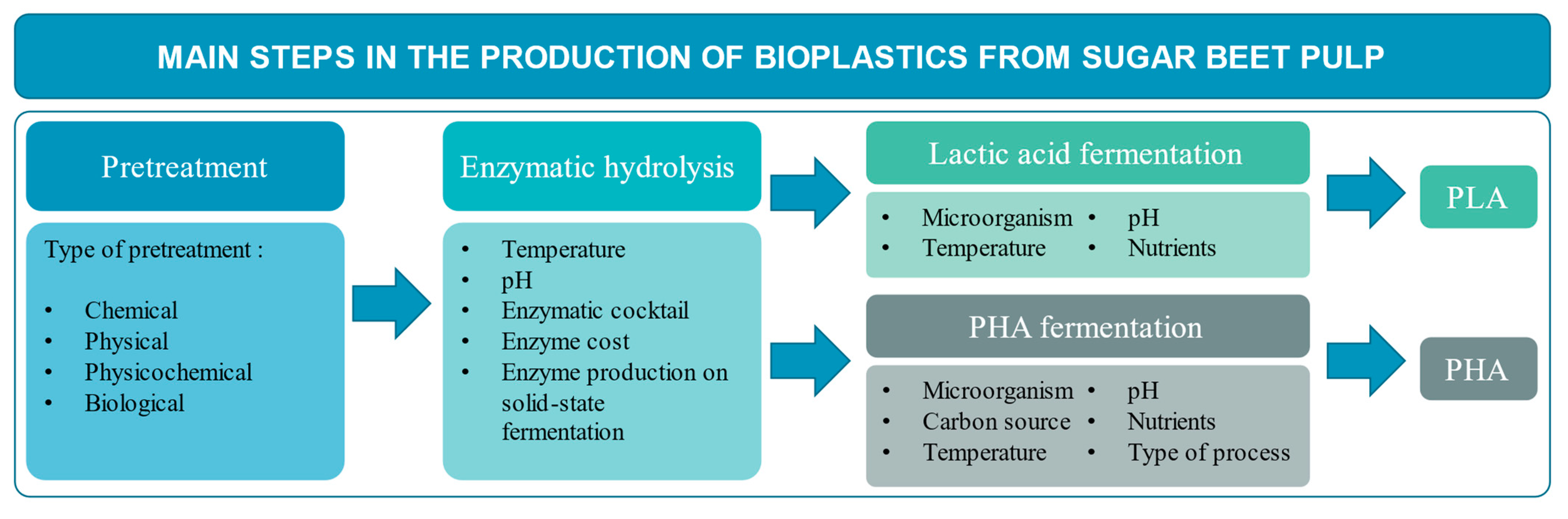 Fermentation Free FullText Sugar Beet Pulp as Raw Material for the