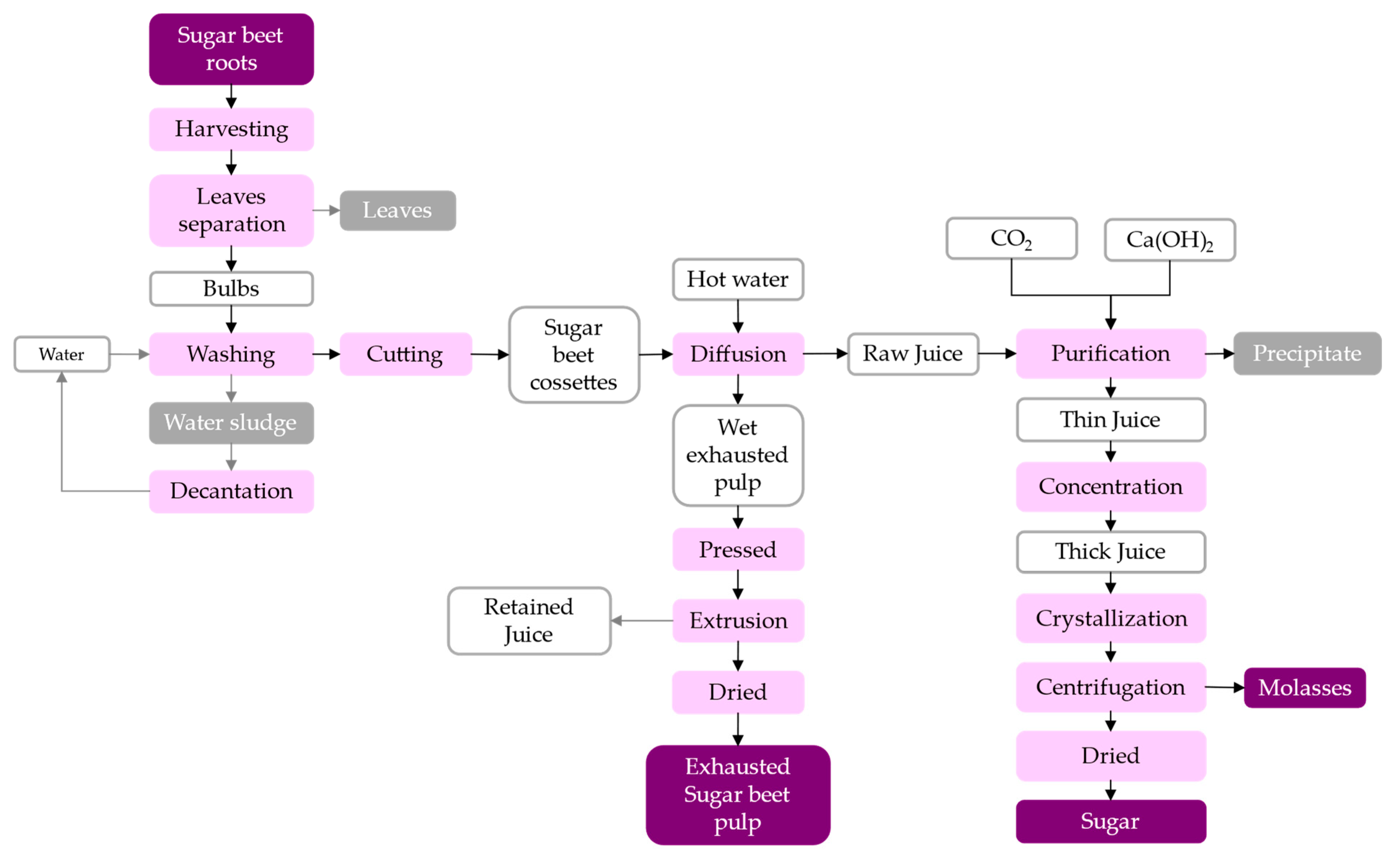 Fermentation 09 00655 g005