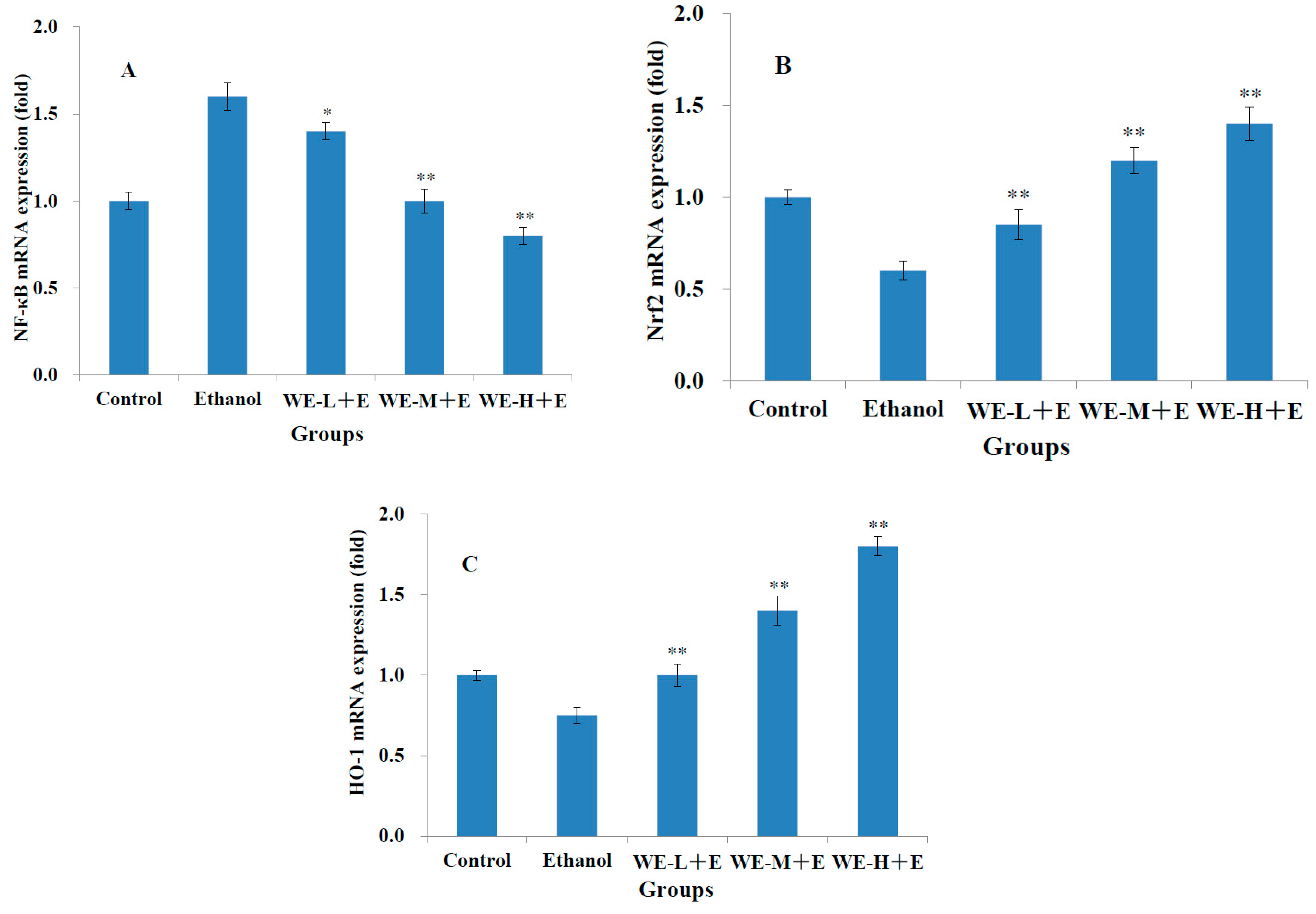 Fermentation 09 00656 g005