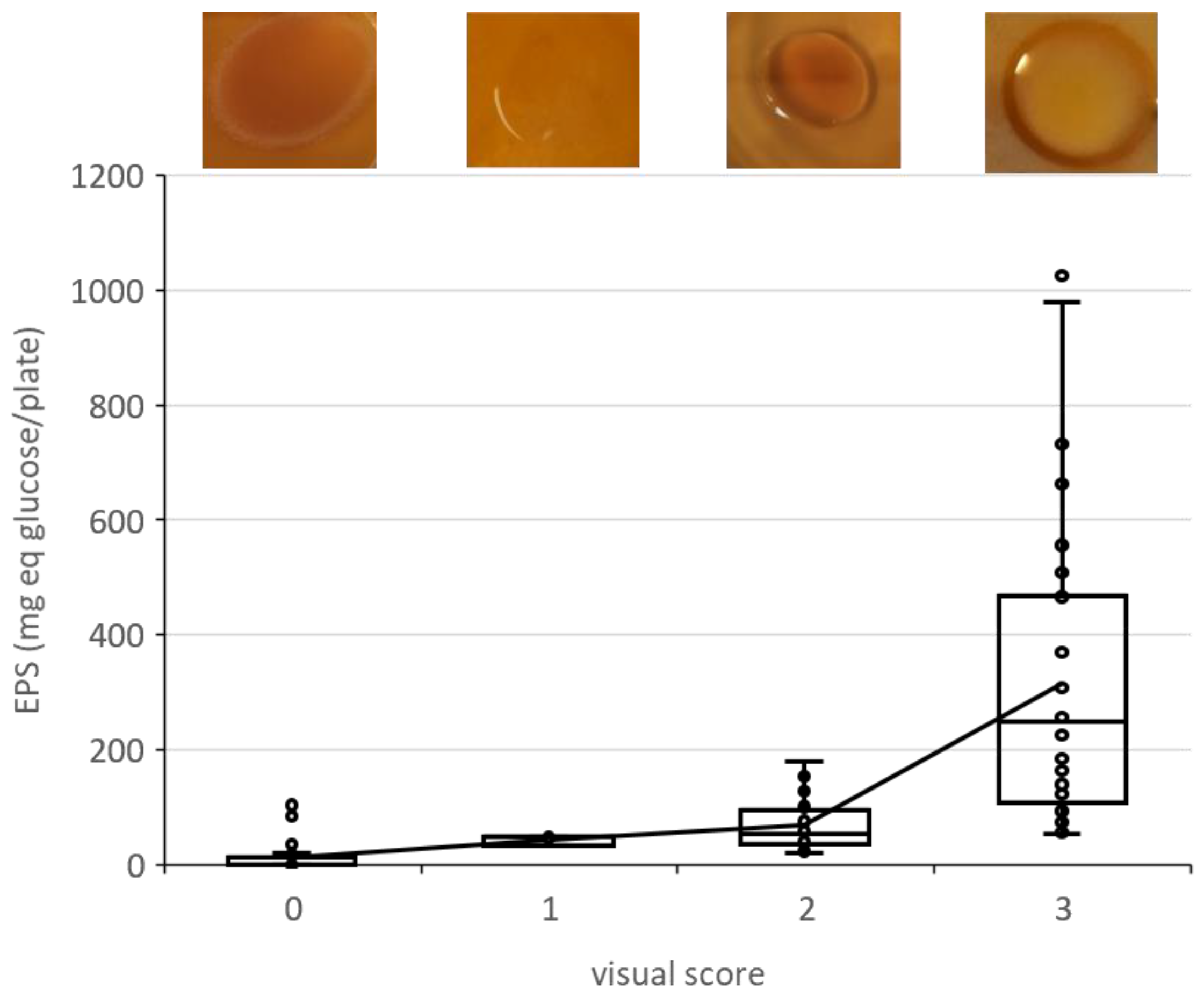 Fermentation 09 00657 g001