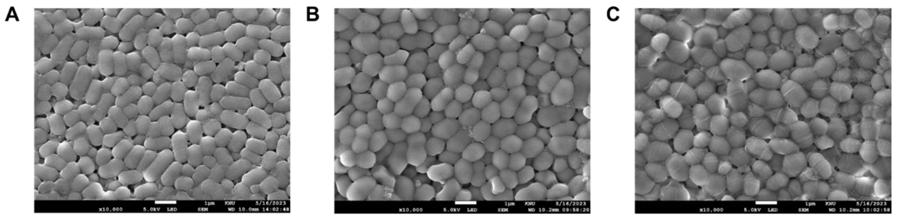 Fermentation 09 00659 g004 Fermentation 09 00659 g004