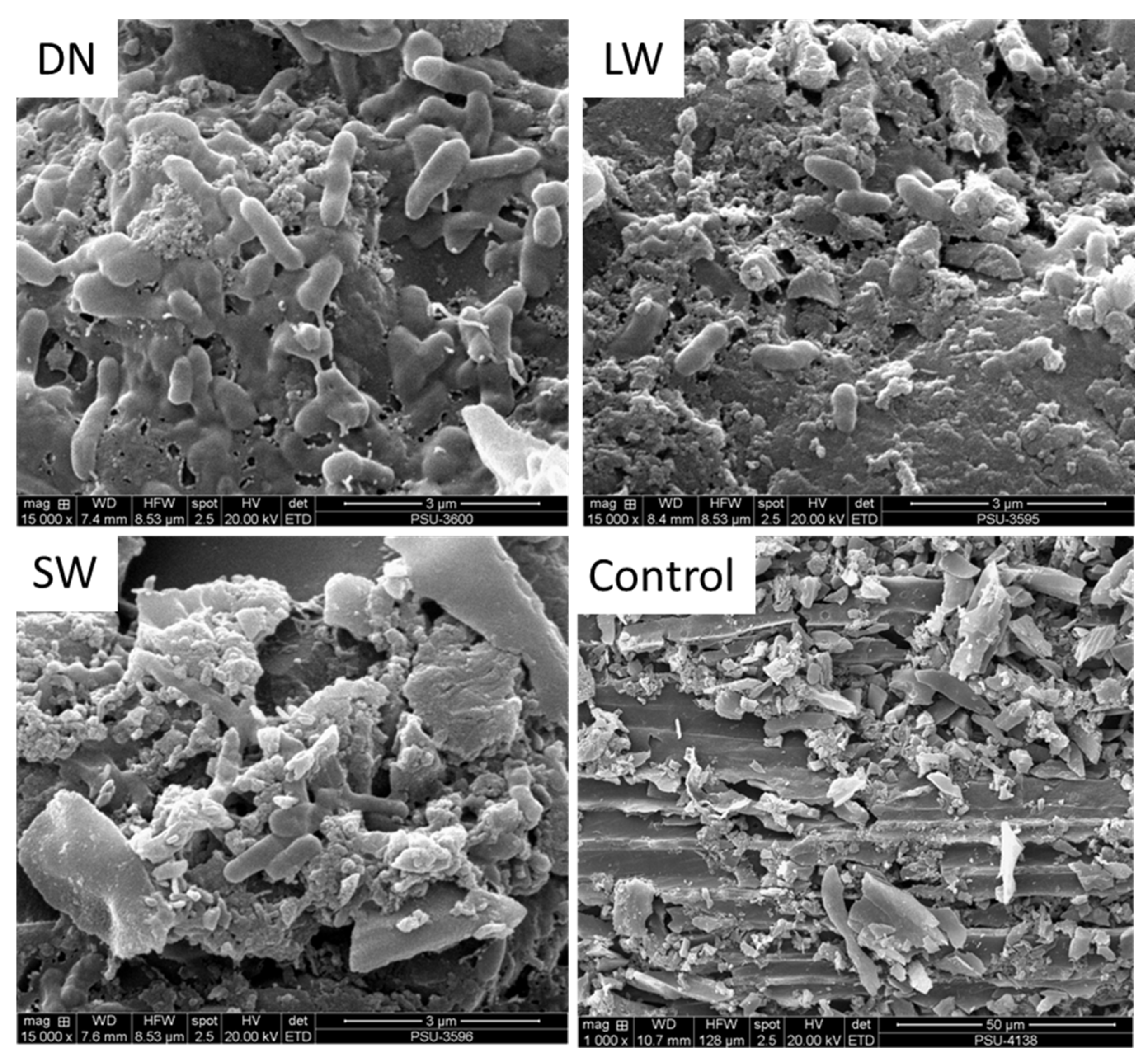 Fermentation 09 00664 g002