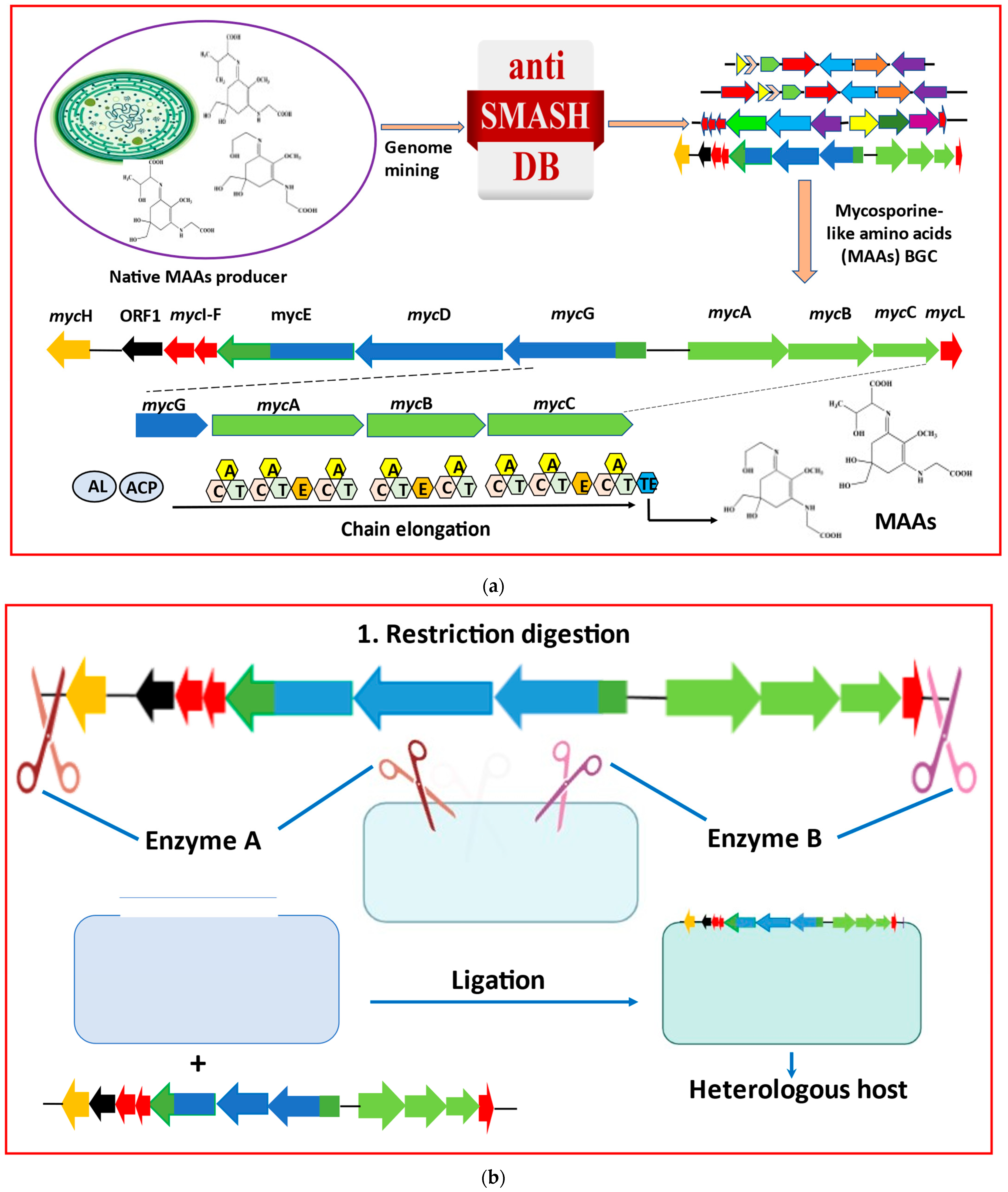 Fermentation 09 00669 g003a Fermentation 09 00669 g003a