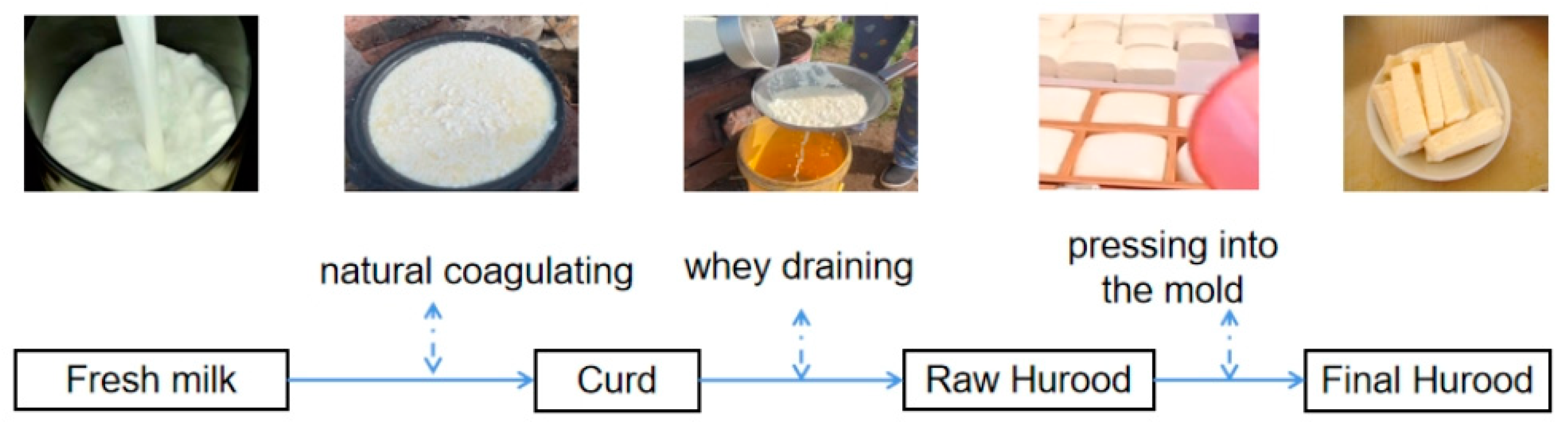 Fermentation 09 00670 g001 Fermentation 09 00670 g001