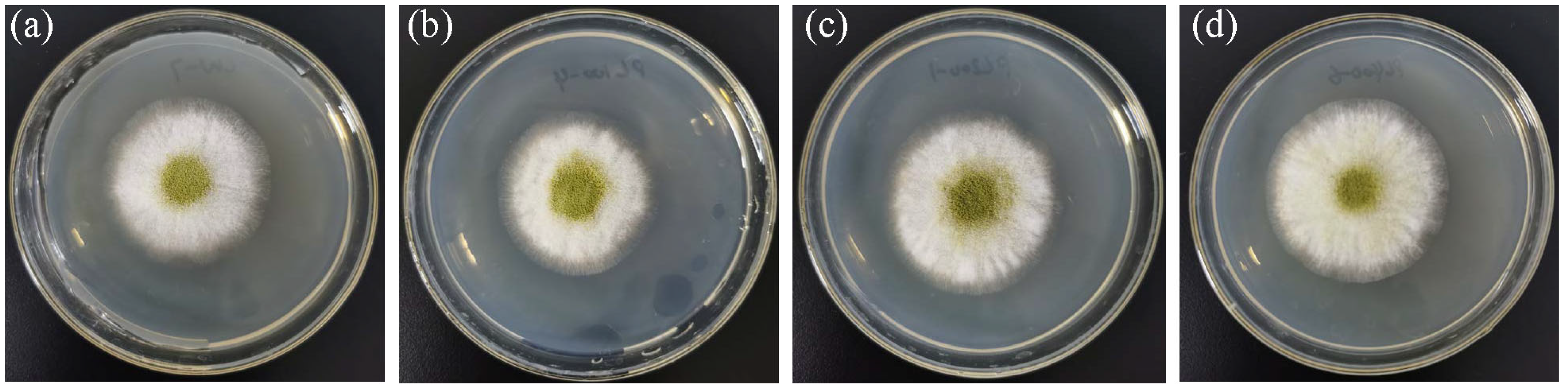 Fermentation 09 00674 g002 Fermentation 09 00674 g002