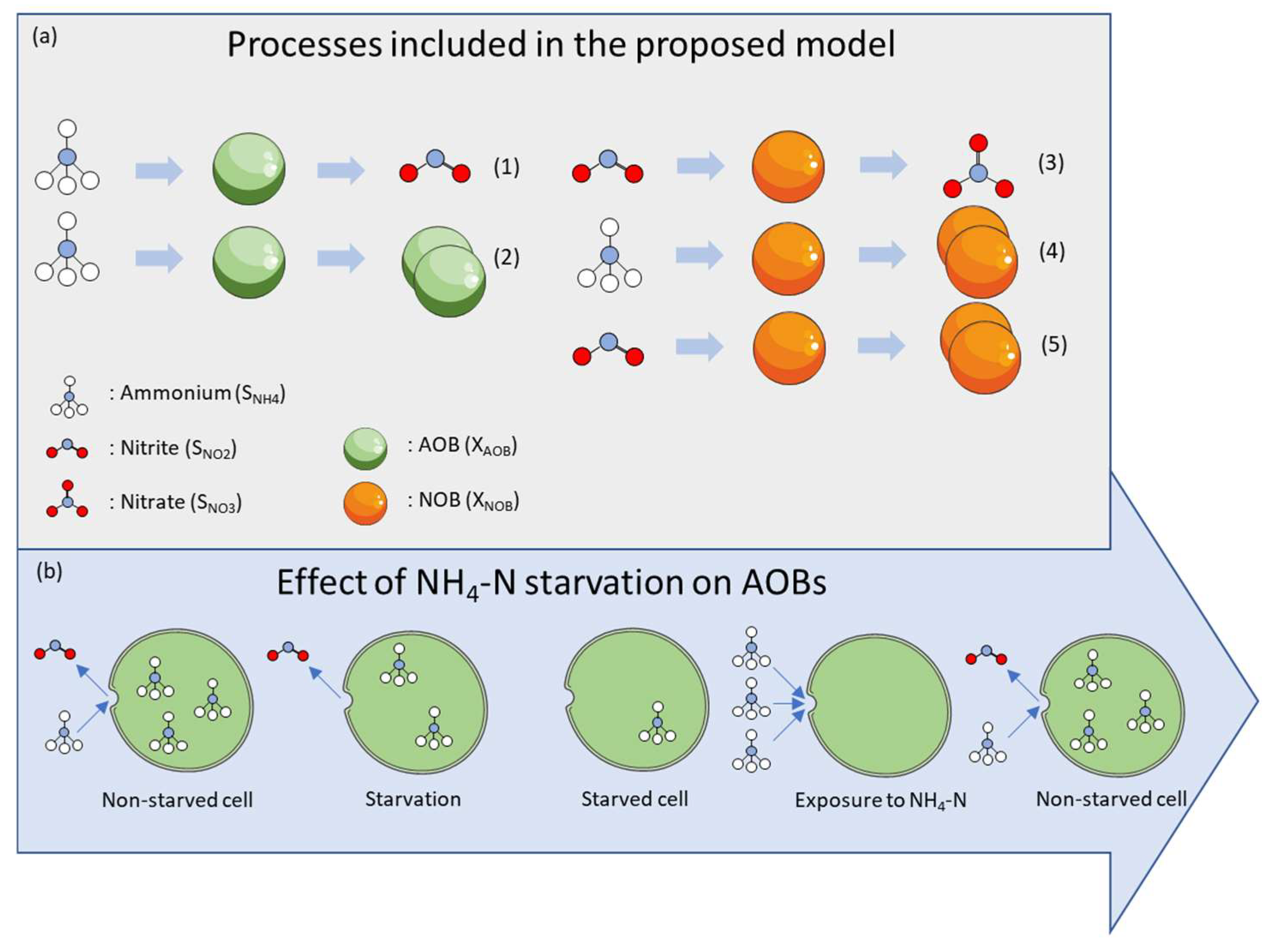 Fermentation 09 00681 g001