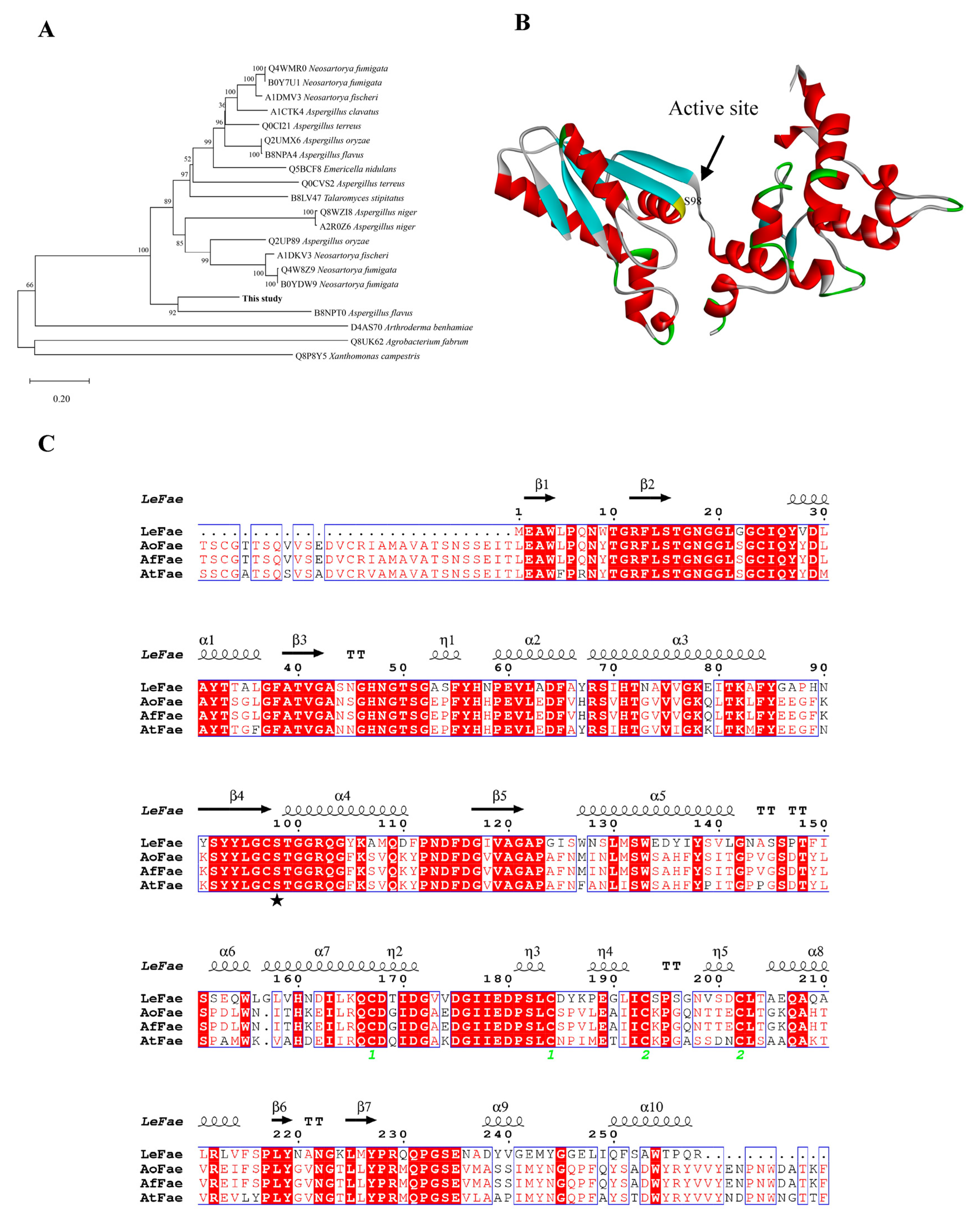 Fermentation 09 00683 g001 Fermentation 09 00683 g001