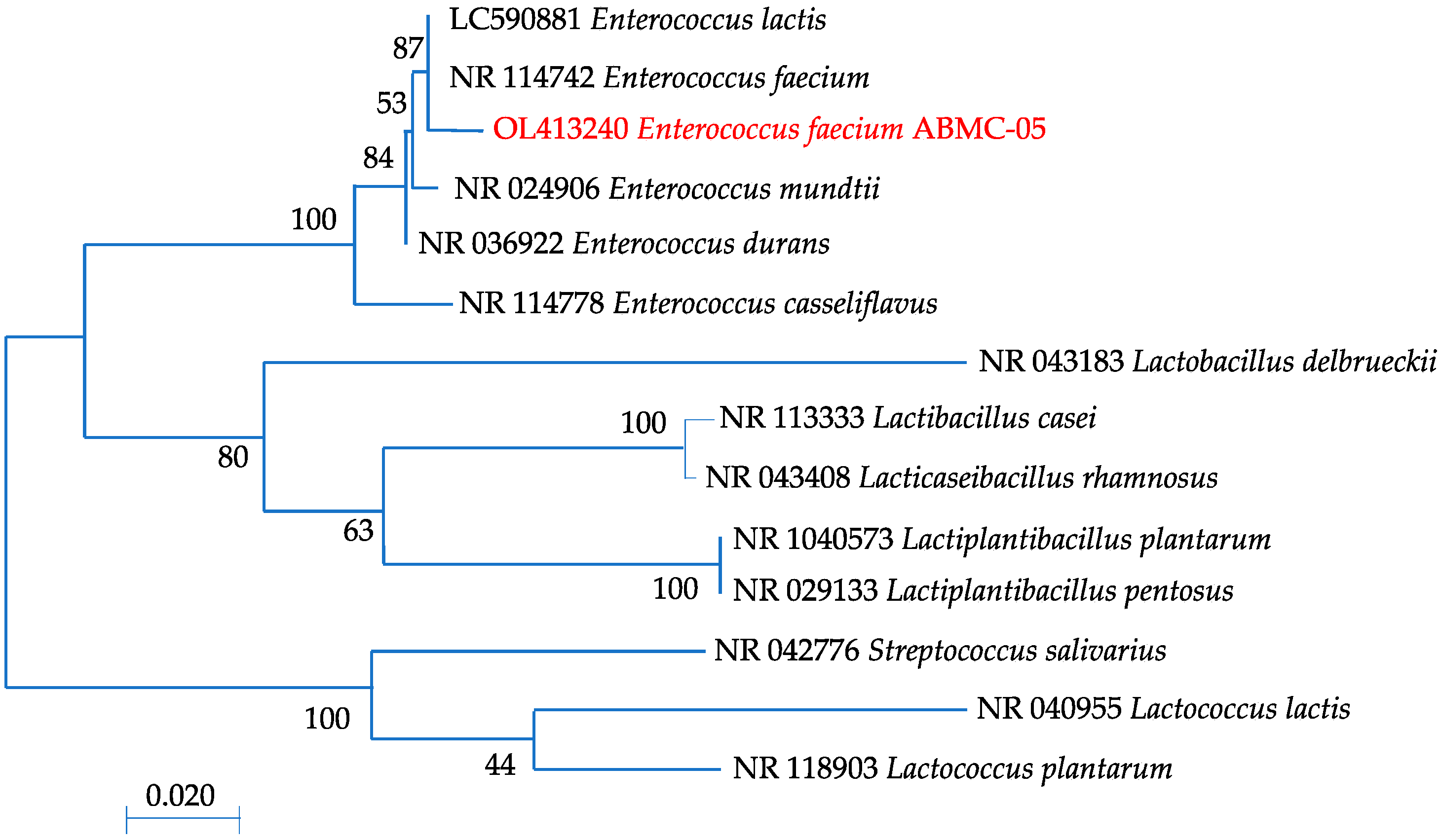 Fermentation 09 00684 g002