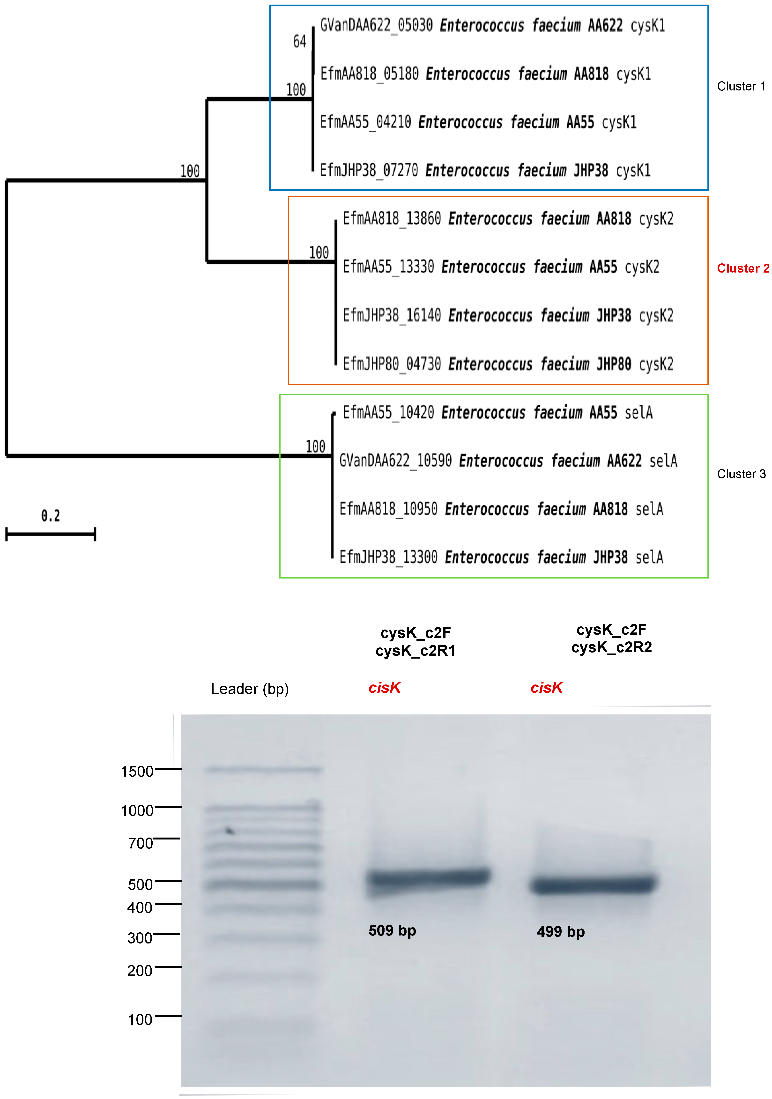Fermentation 09 00684 g005
