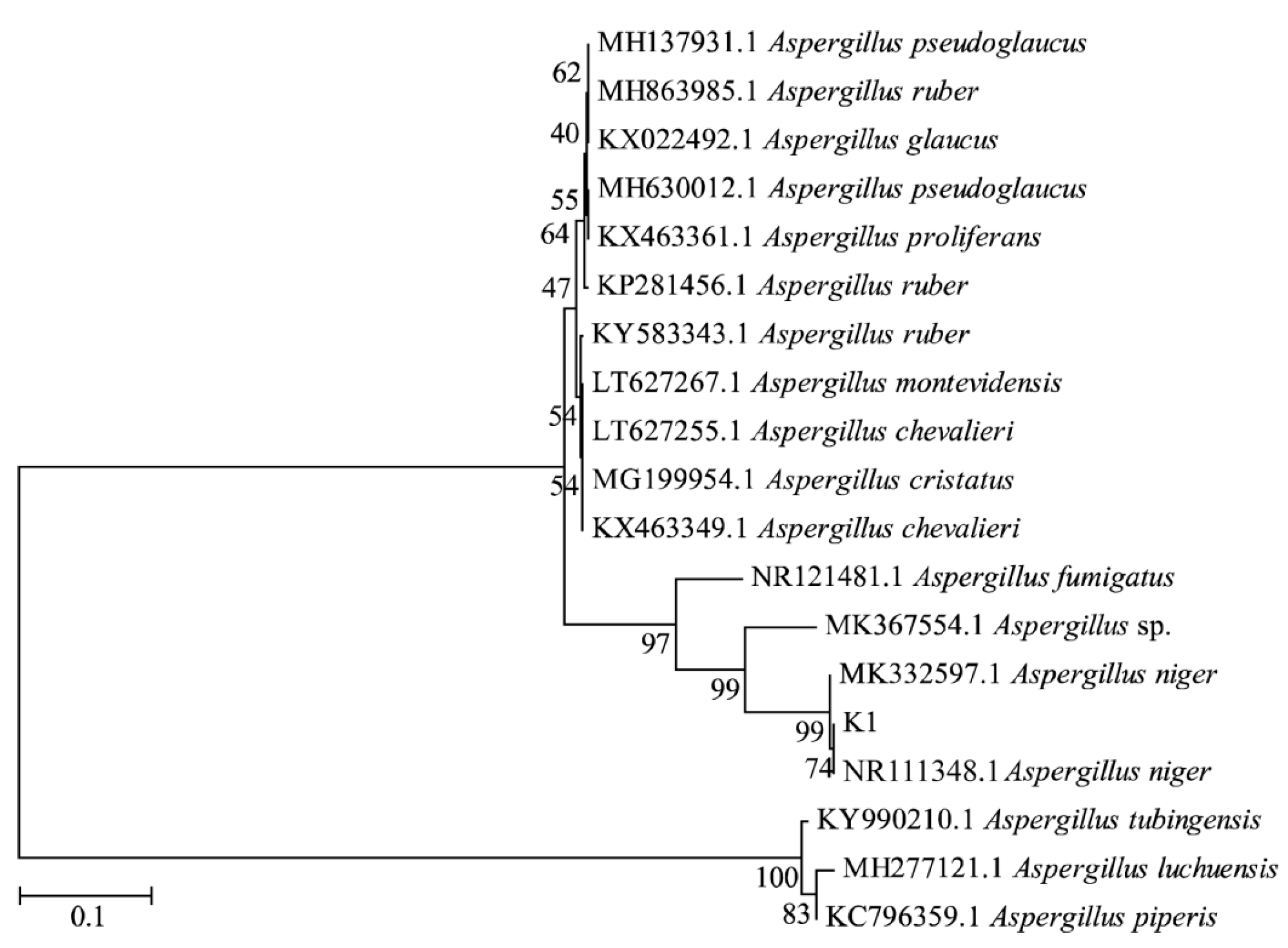Fermentation 09 00690 g001 Fermentation 09 00690 g001
