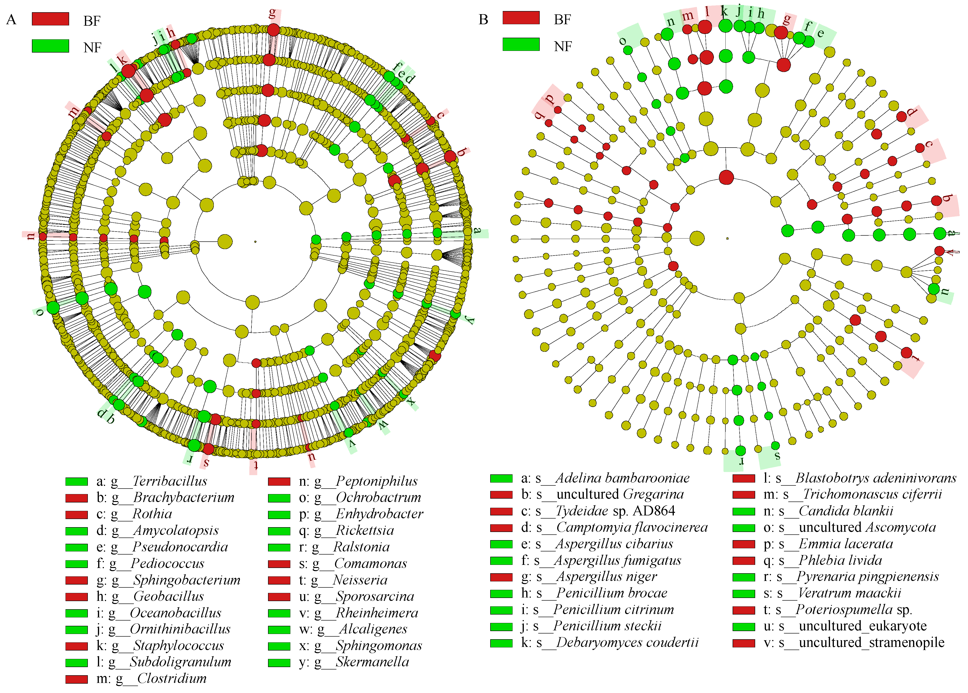 Fermentation 09 00690 g004 Fermentation 09 00690 g004