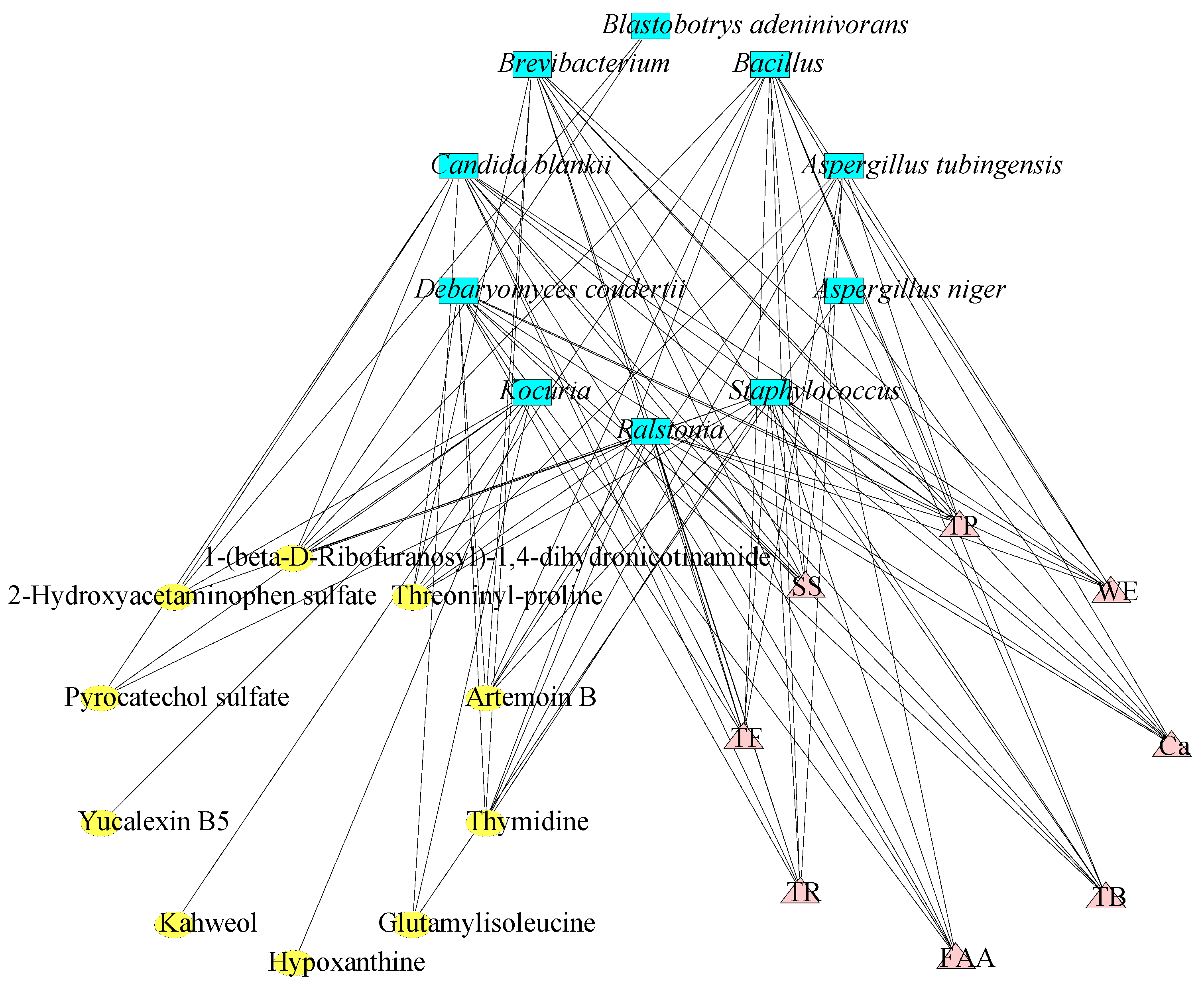 Fermentation 09 00690 g007 Fermentation 09 00690 g007