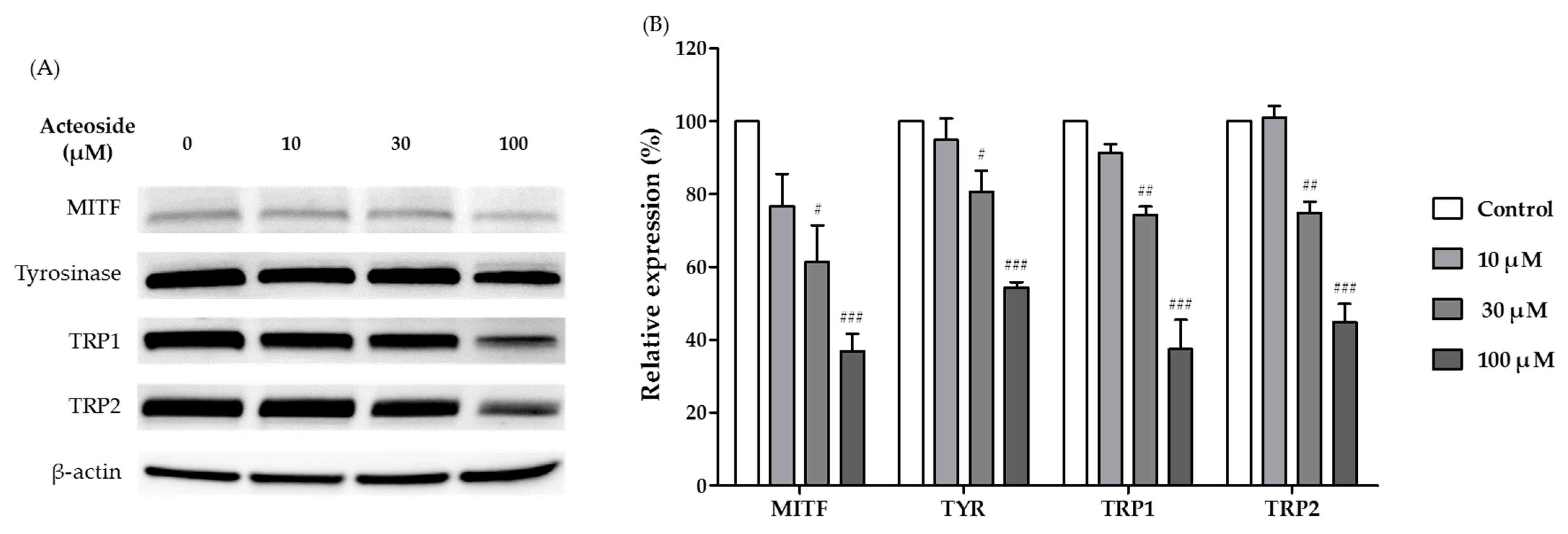 Fermentation 09 00697 g006