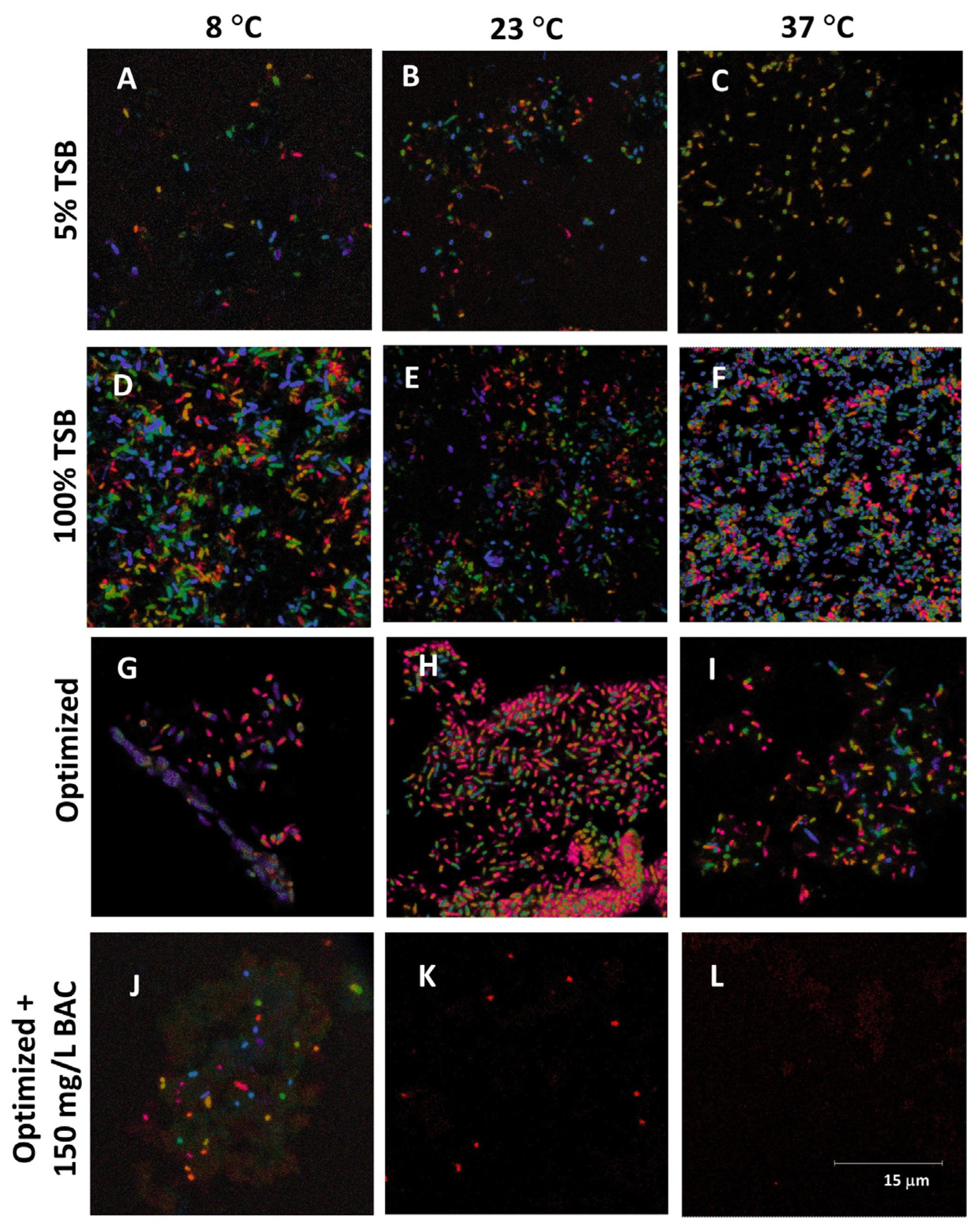 Fermentation 09 00699 g006