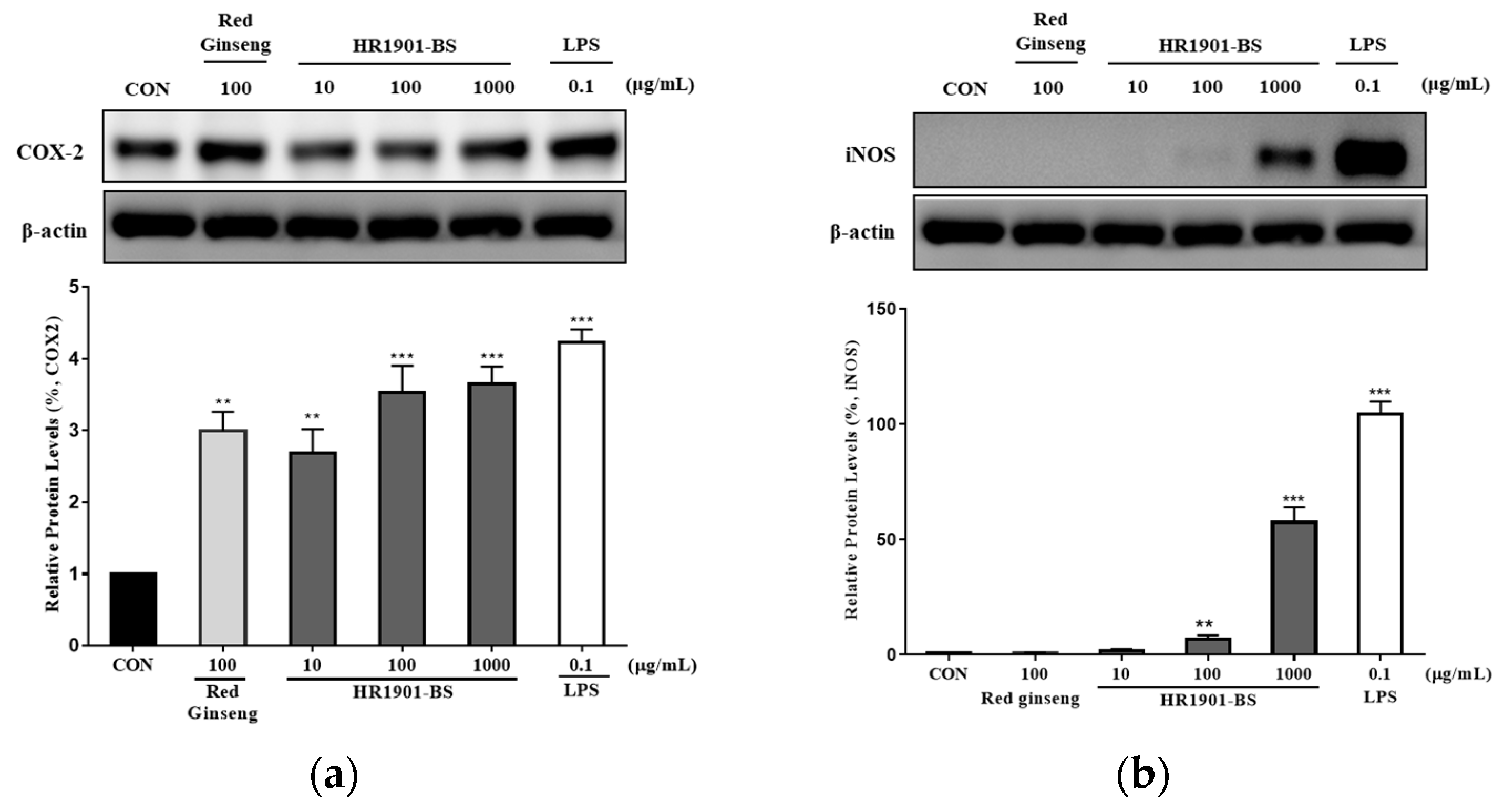 Fermentation 09 00701 g003