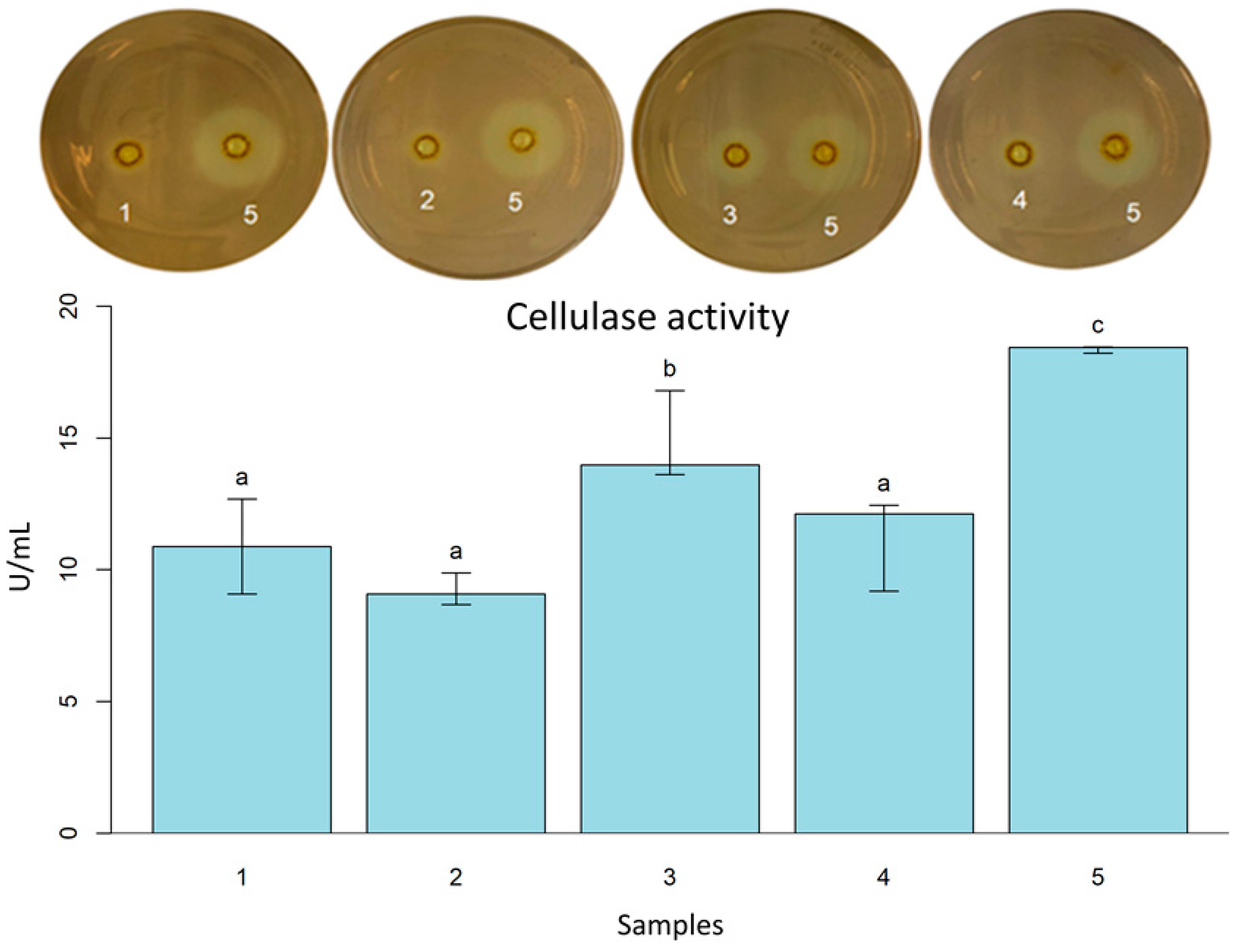 Fermentation 09 00703 g002