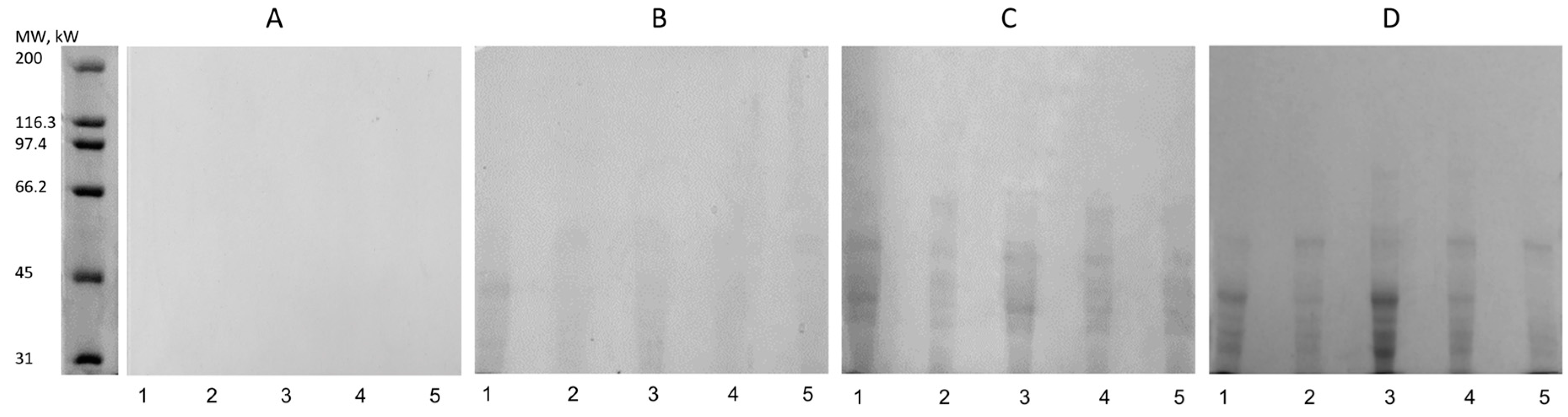 Fermentation 09 00703 g006