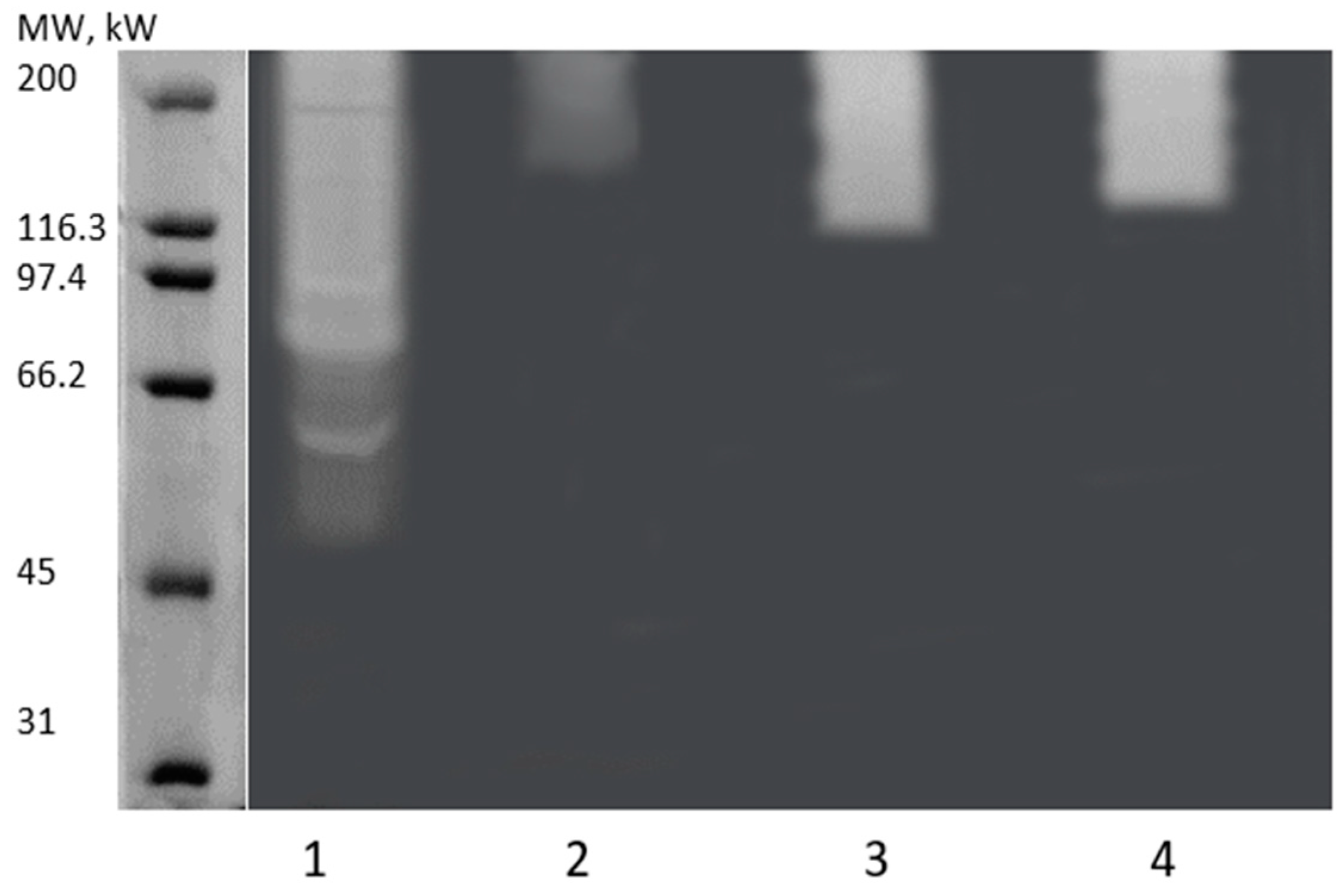Fermentation 09 00703 g007