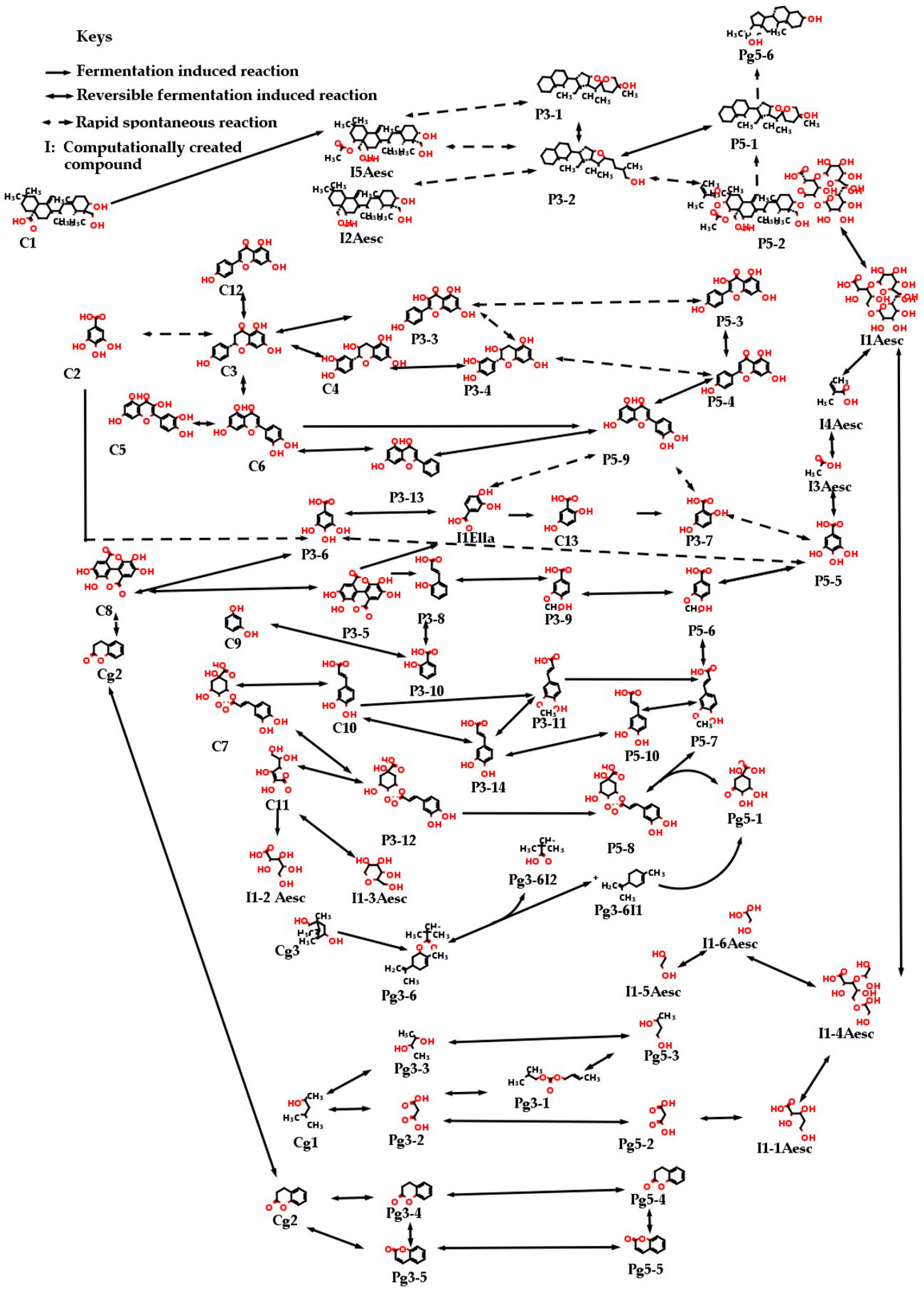 Fermentation 09 00707 g001 Fermentation 09 00707 g001