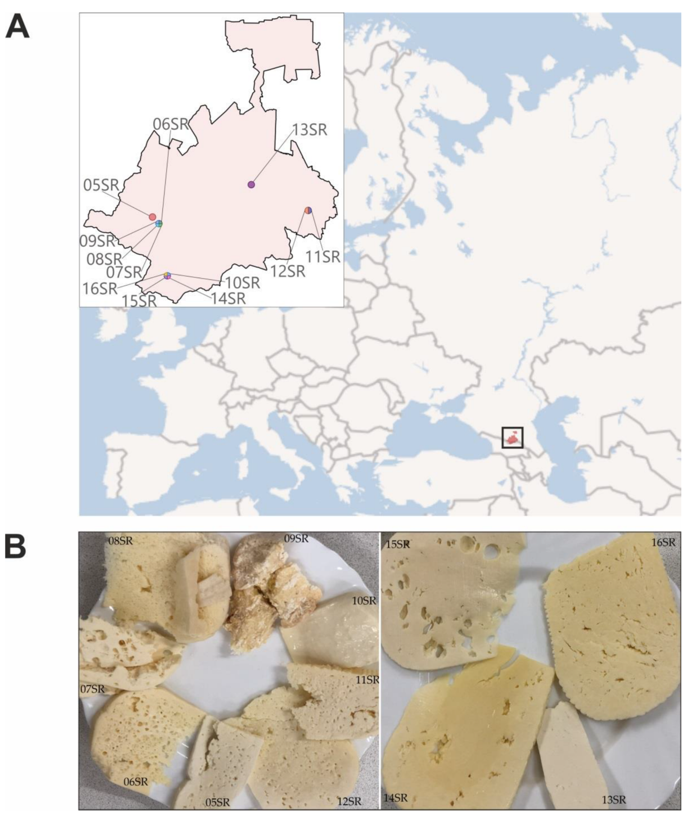 Fermentation 09 00719 g001 Fermentation 09 00719 g001