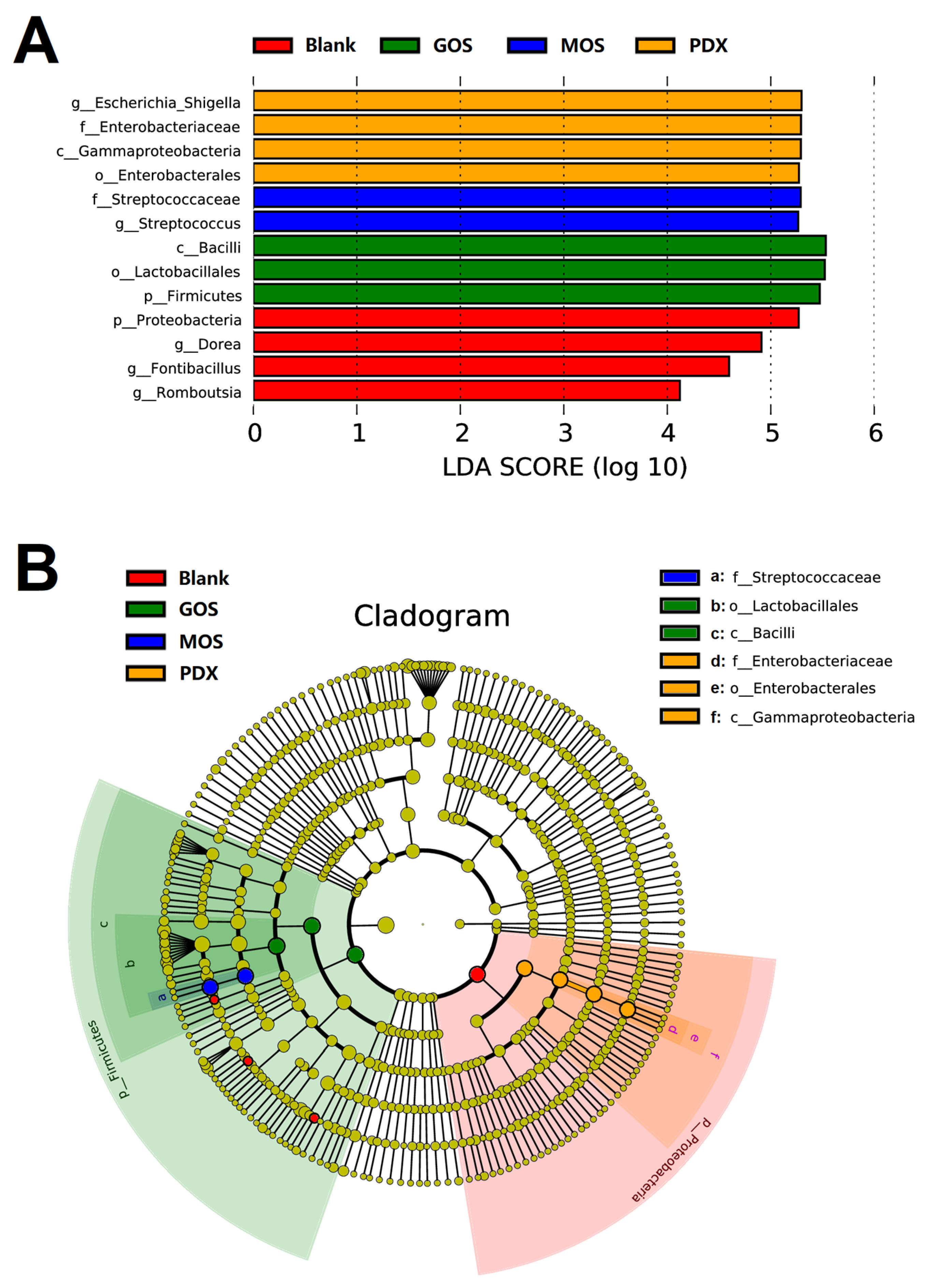 Fermentation 09 00722 g005