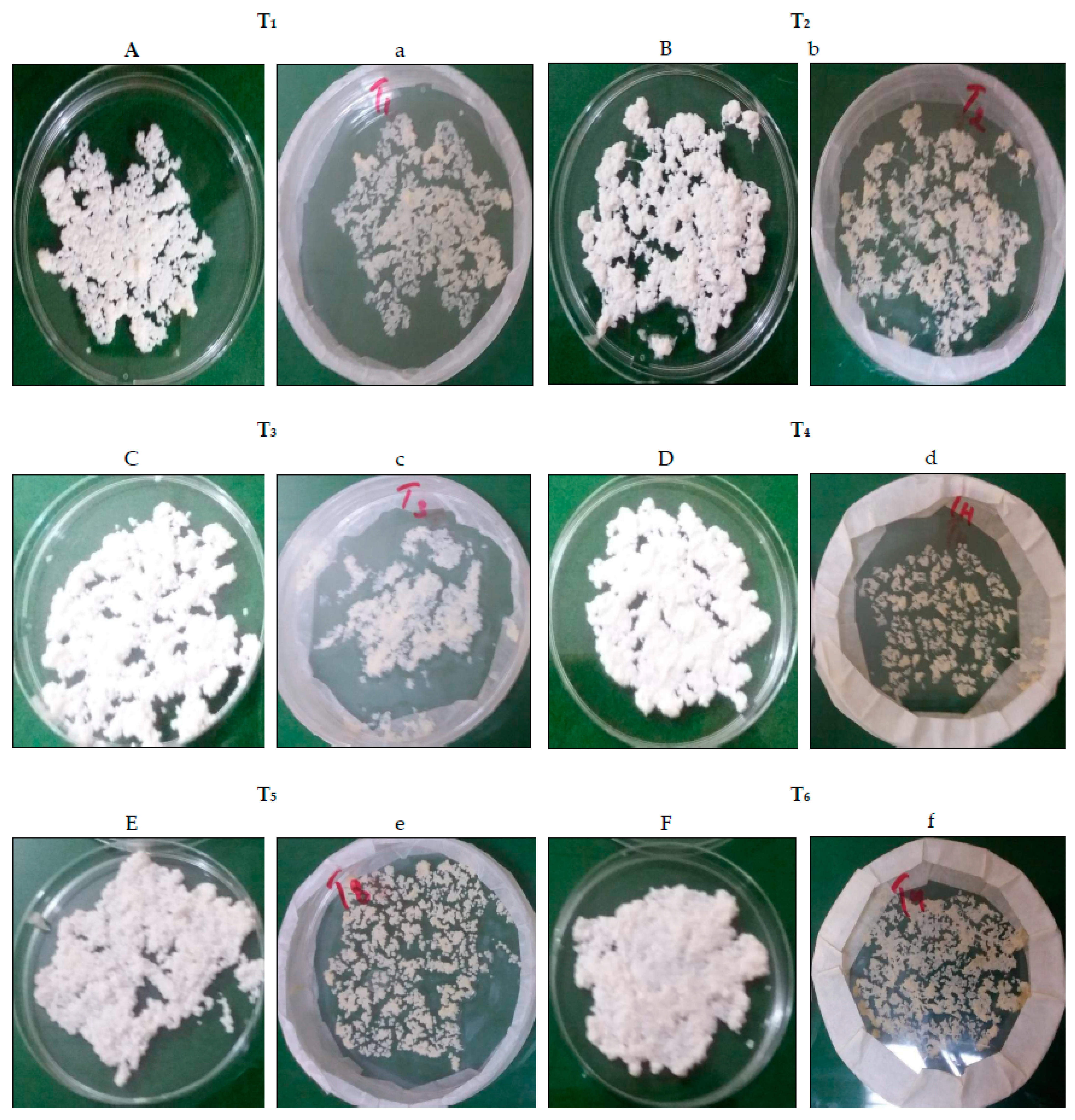 Fermentation 09 00725 g001