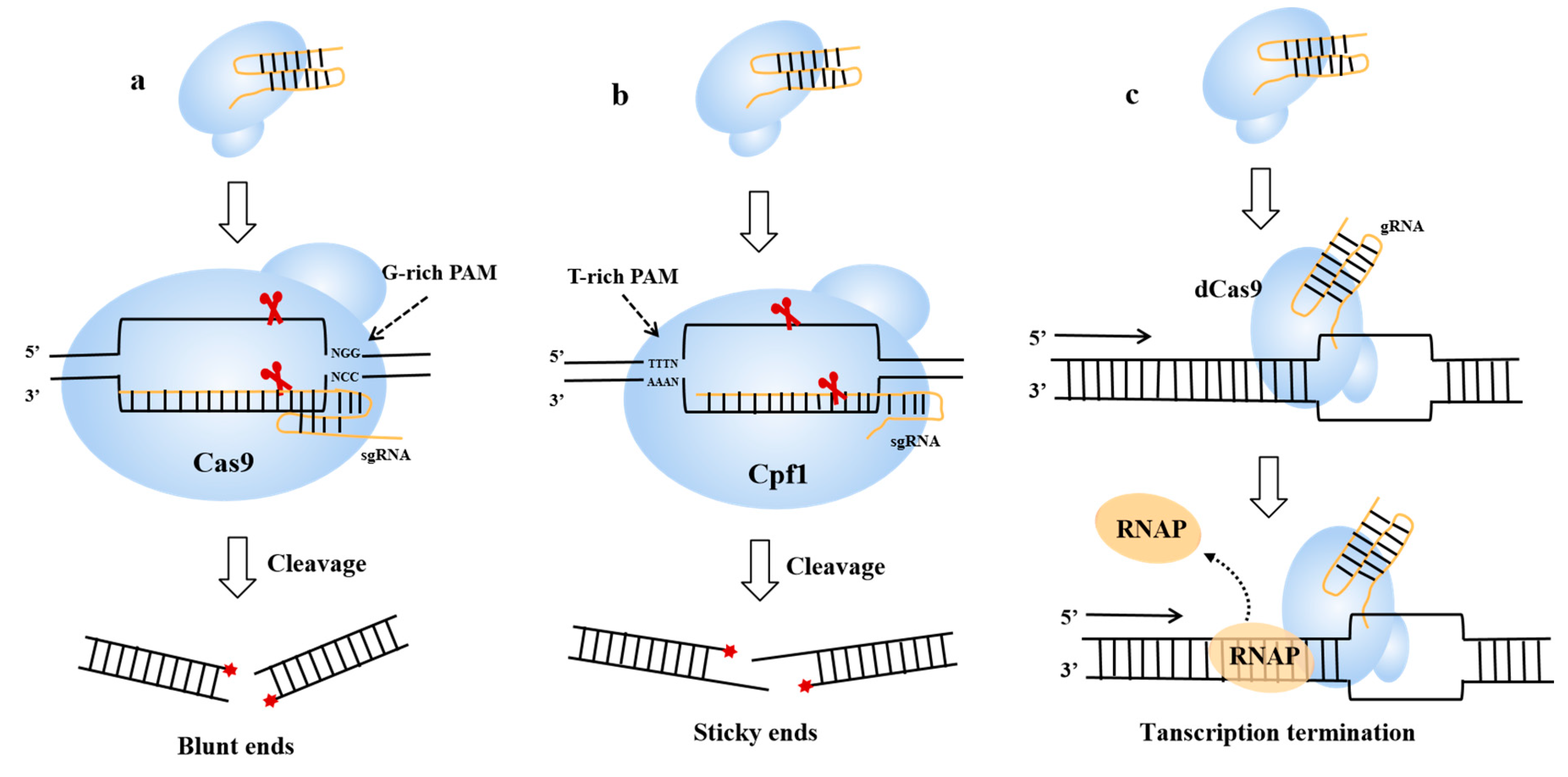 Fermentation 09 00729 g002 Fermentation 09 00729 g002