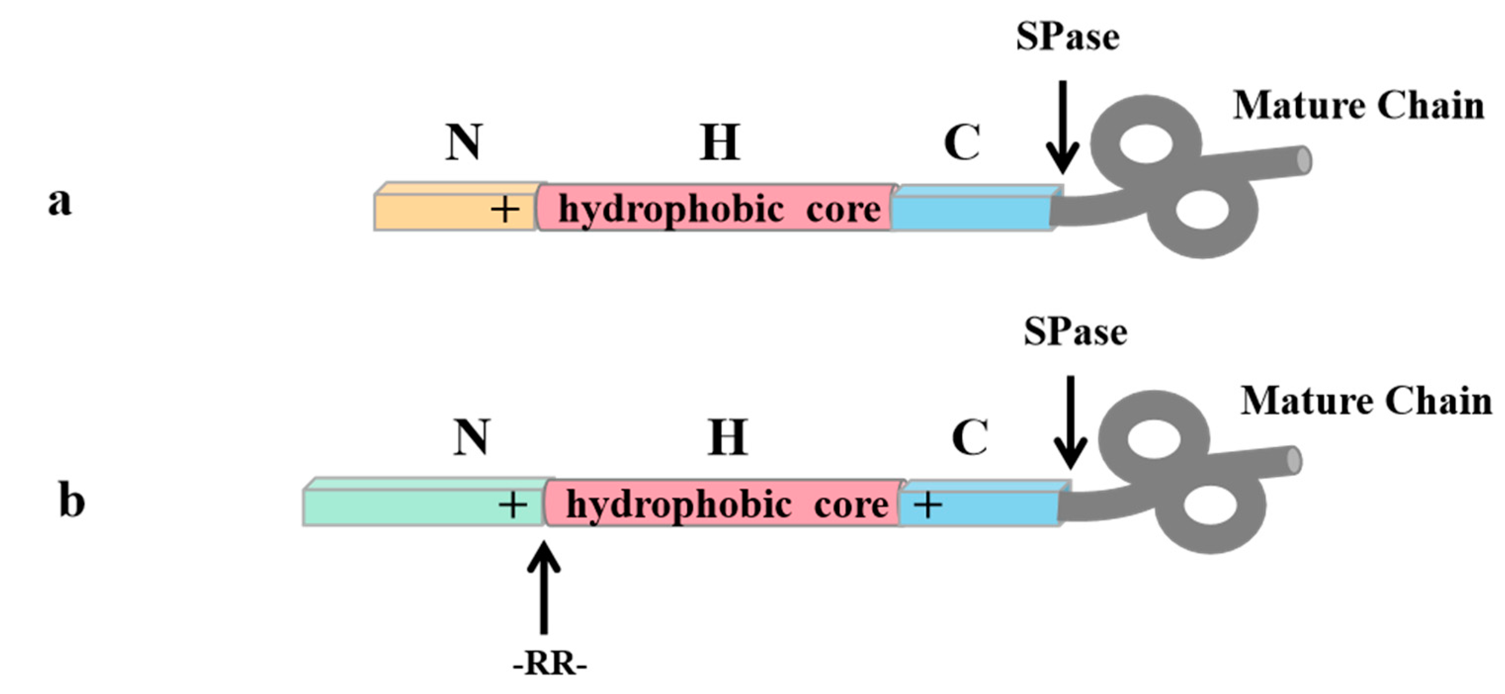 Fermentation 09 00729 g004 Fermentation 09 00729 g004