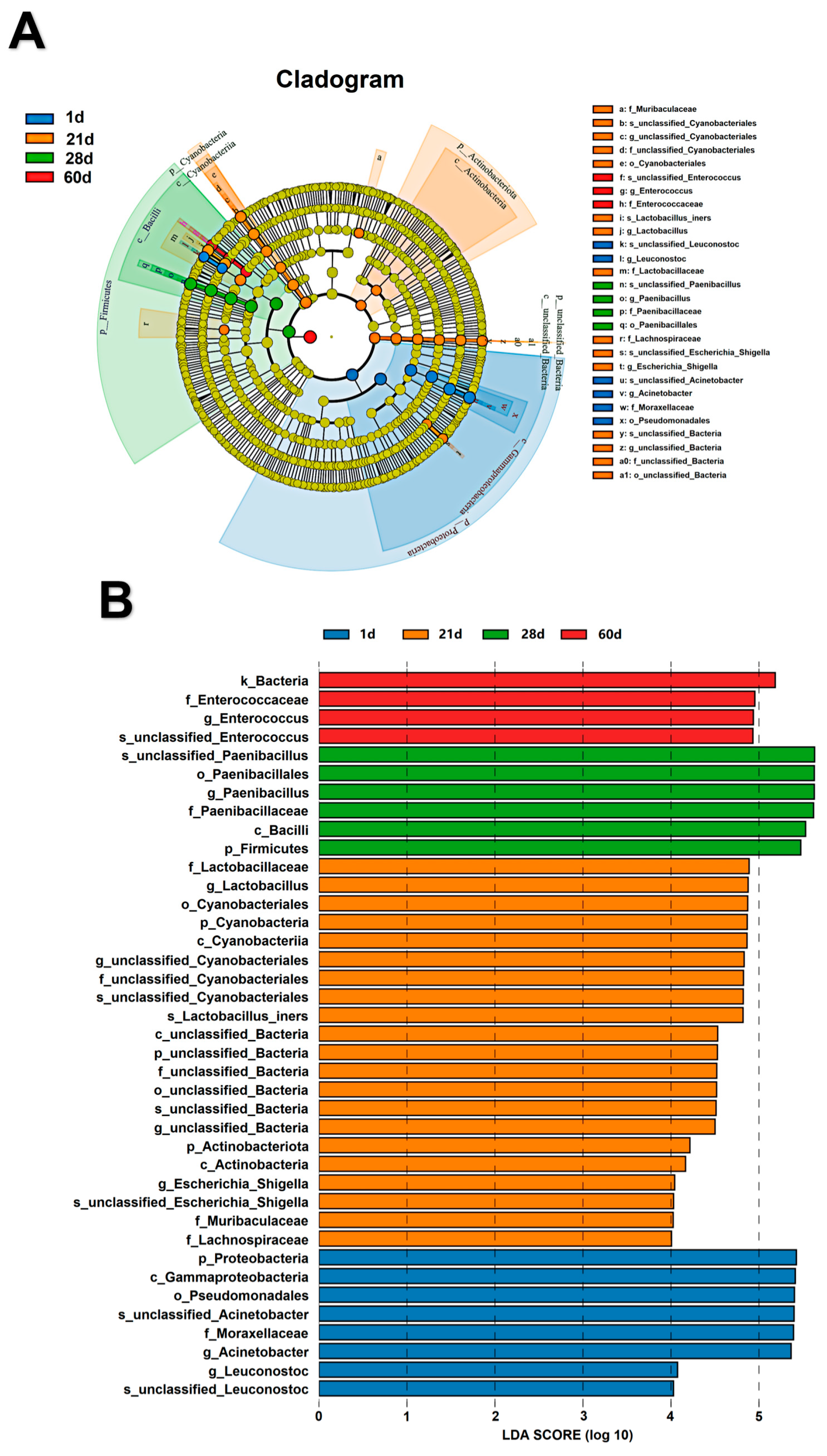 Dynamics of Physicochemical Properties, Flavor, and Dynamics of Physicochemical Properties, Flavor, and