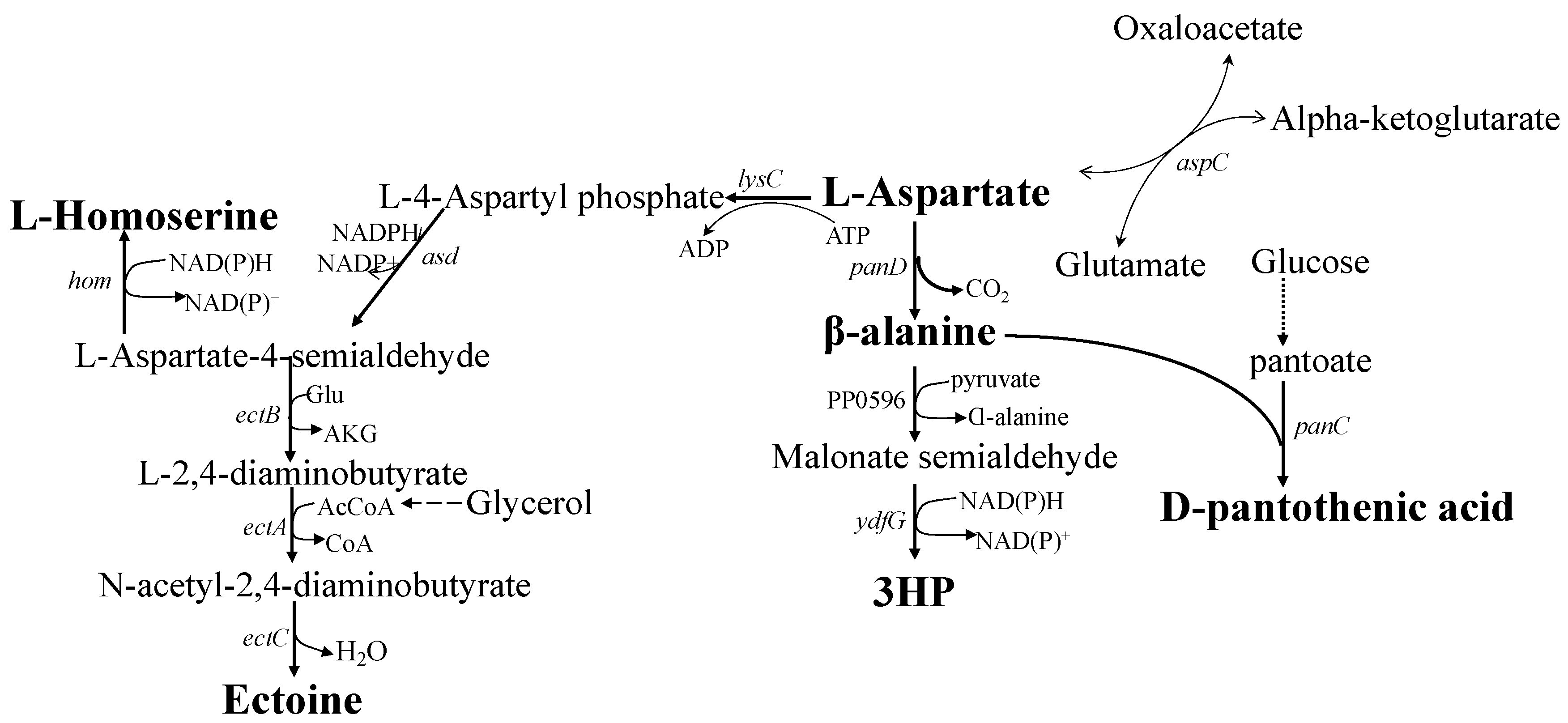 Fermentation 09 00737 g002 Fermentation 09 00737 g002