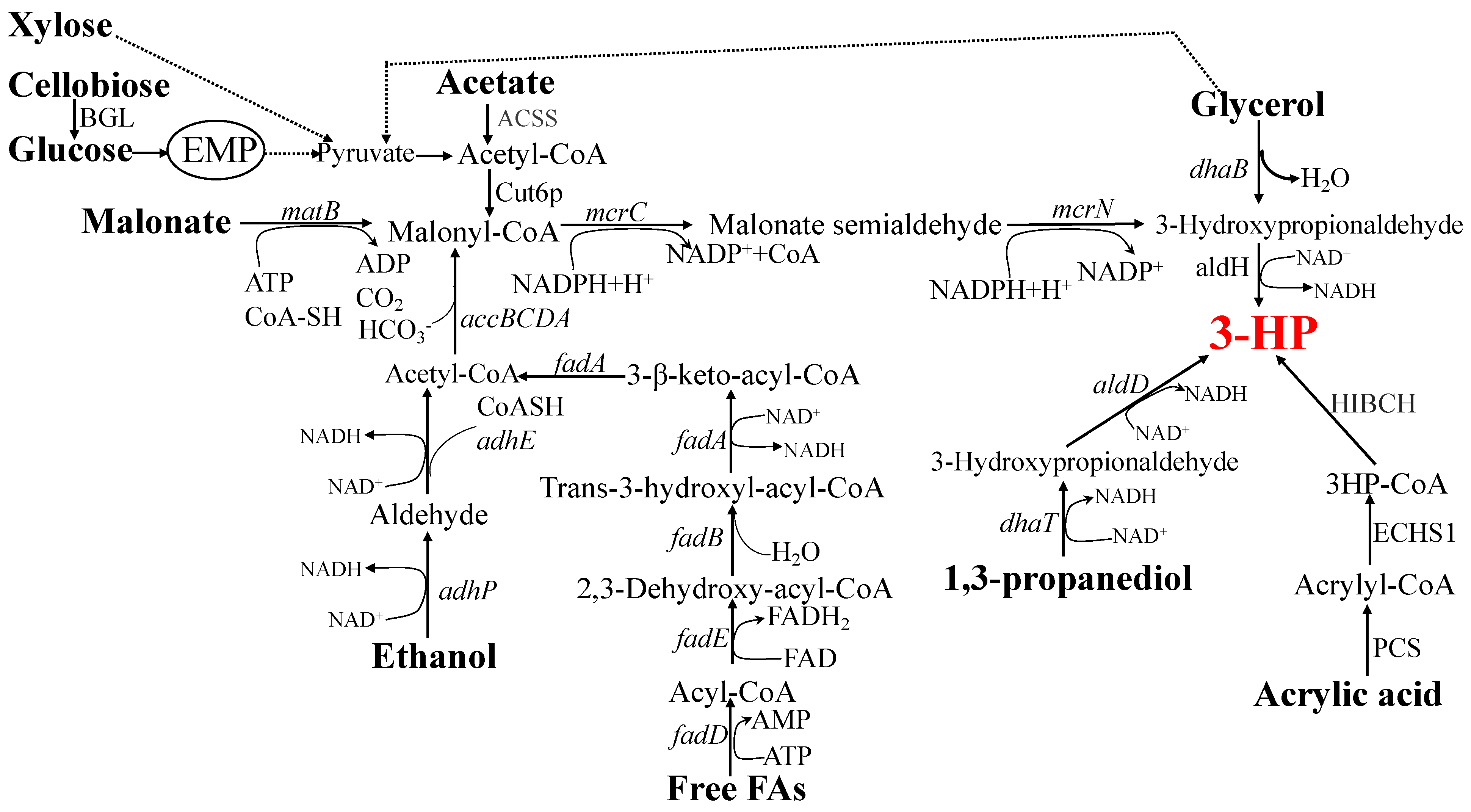 Fermentation 09 00737 g003 Fermentation 09 00737 g003