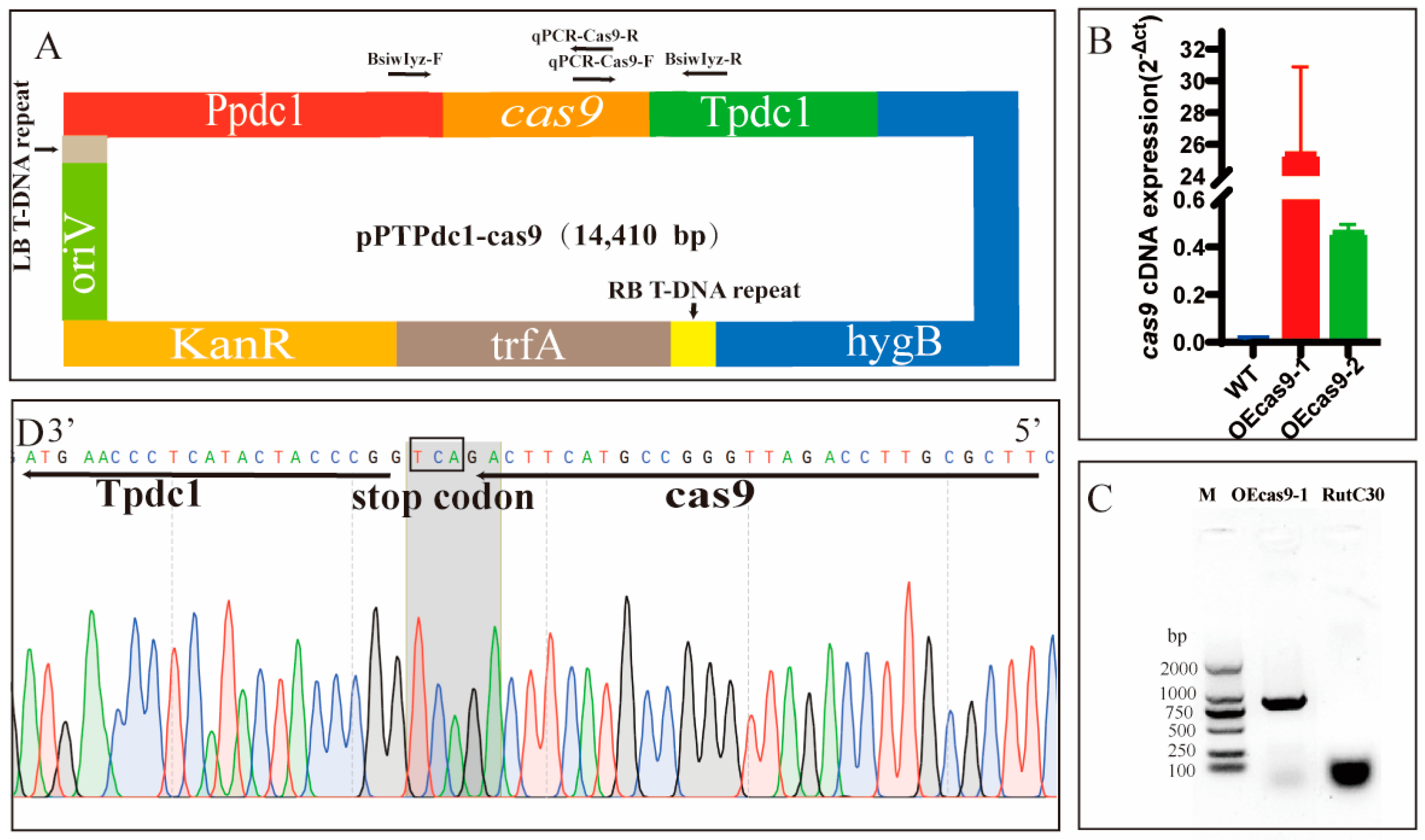 Fermentation 09 00746 g001 Fermentation 09 00746 g001