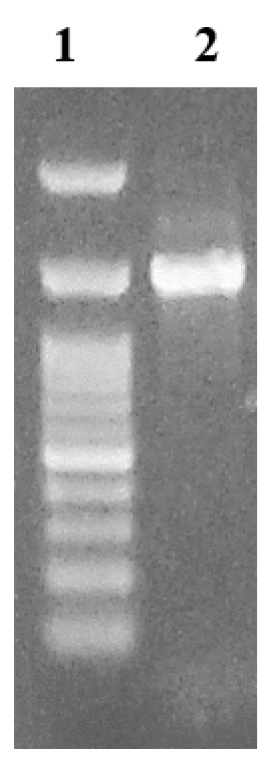 Fermentation 09 00749 g003