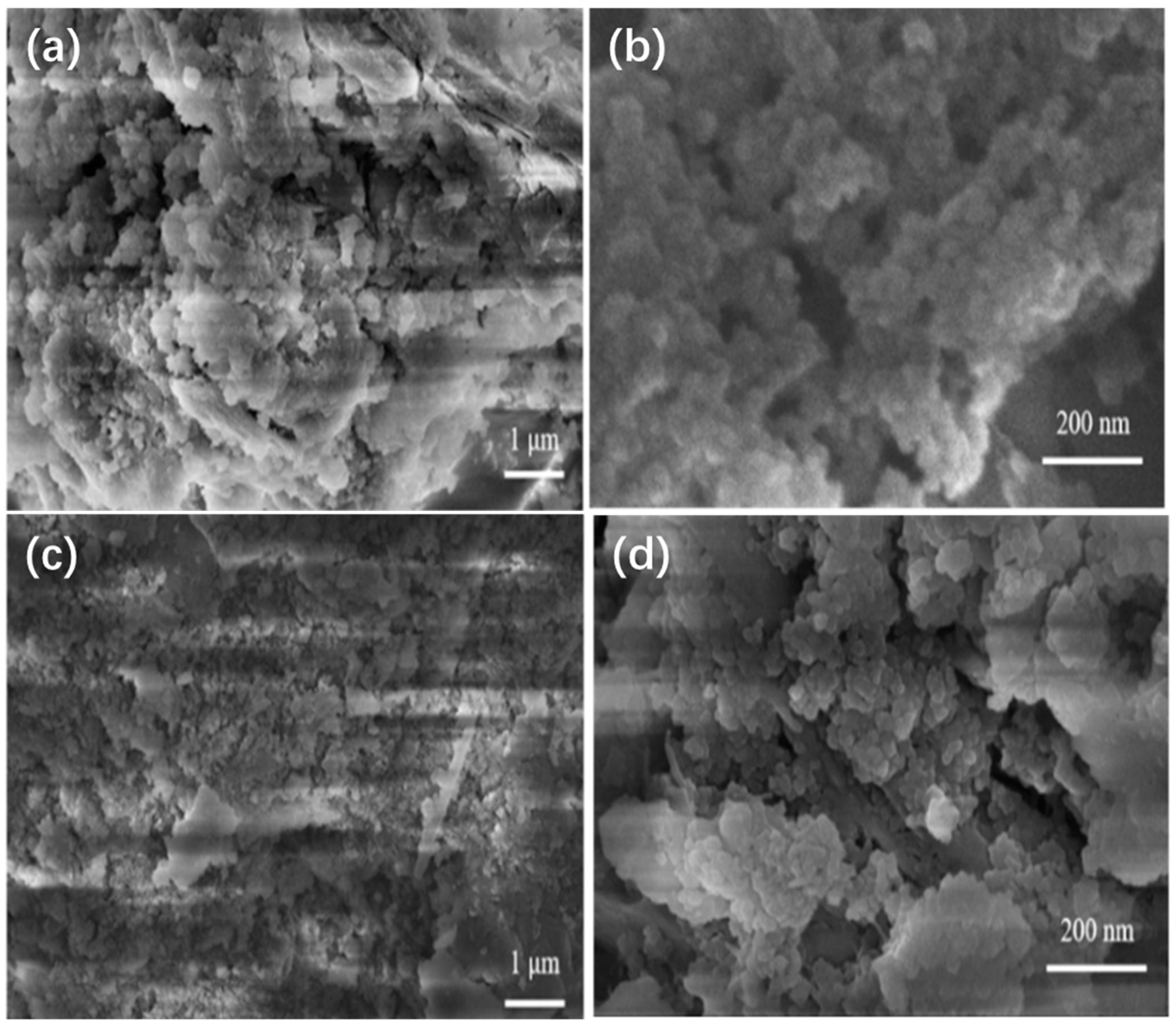 Fermentation 09 00752 g006