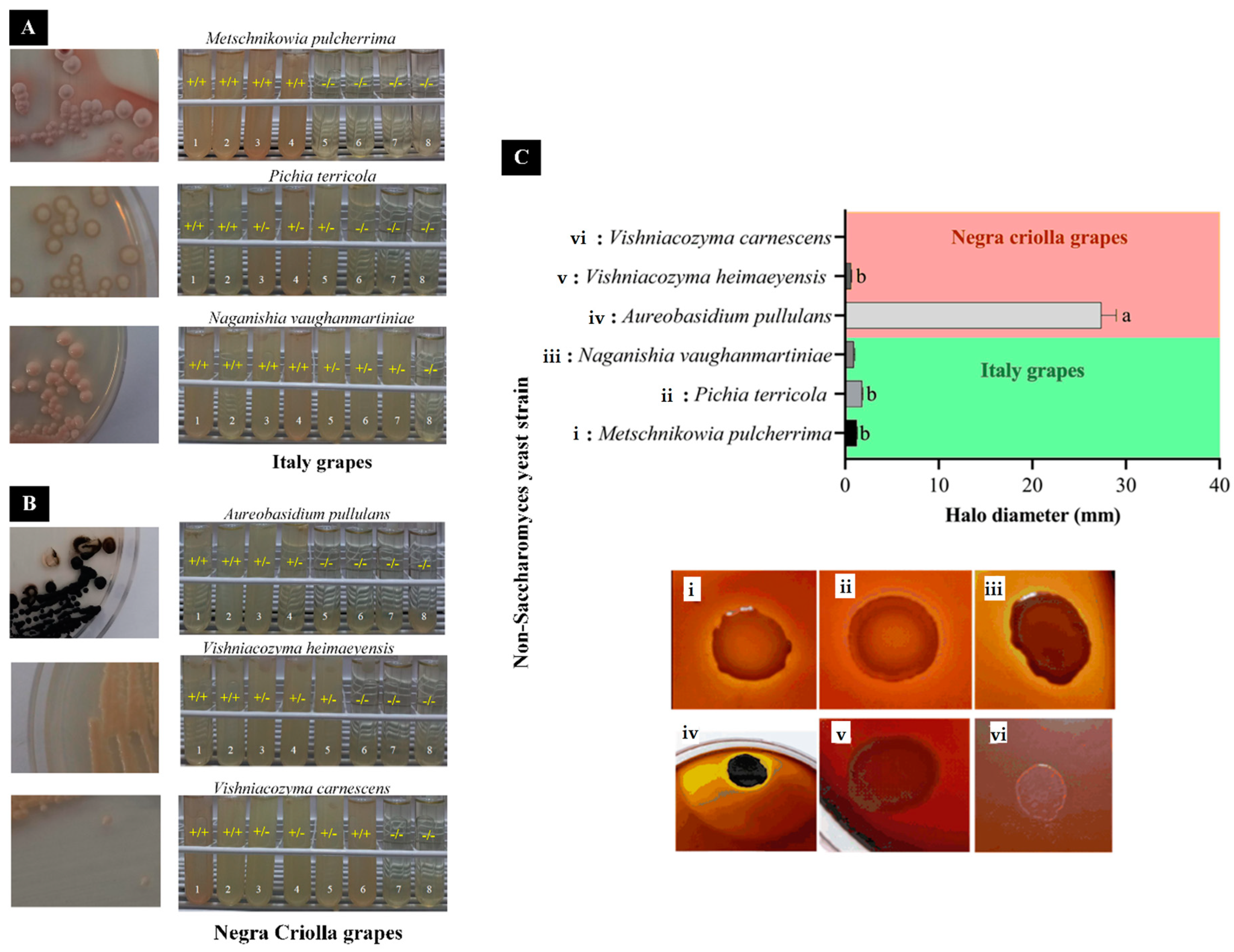 Fermentation 09 00757 g001 Fermentation 09 00757 g001