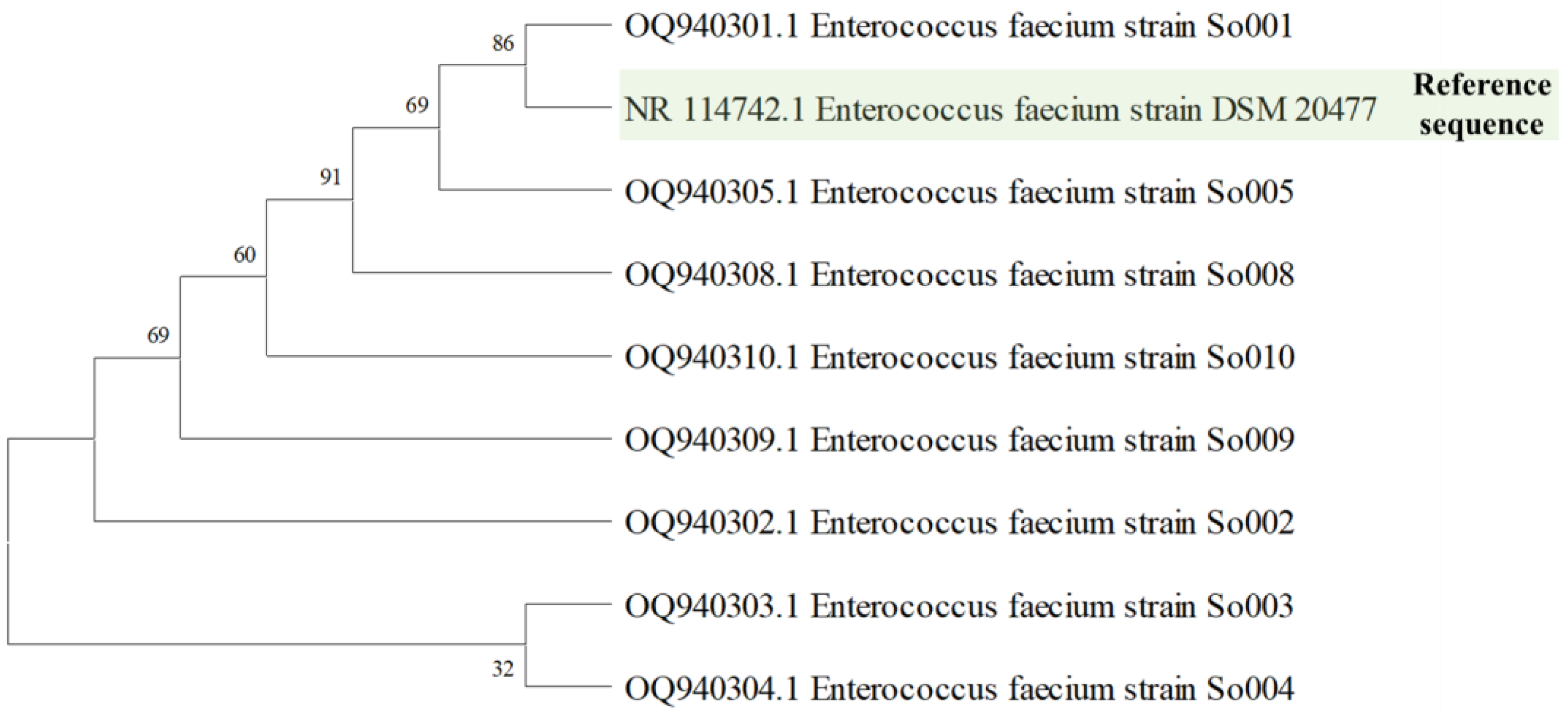 Fermentation 09 00760 g001