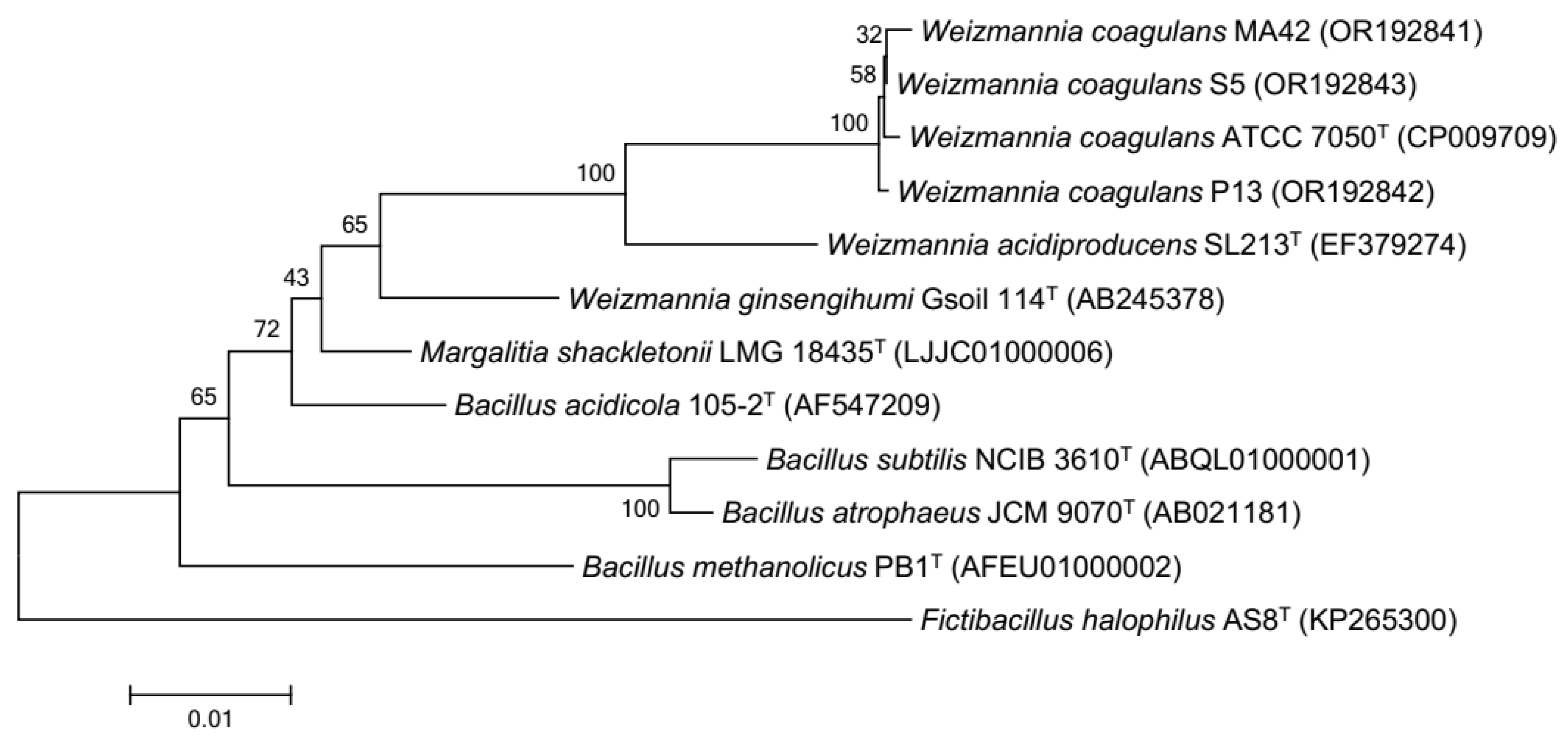 Fermentation 09 00761 g001