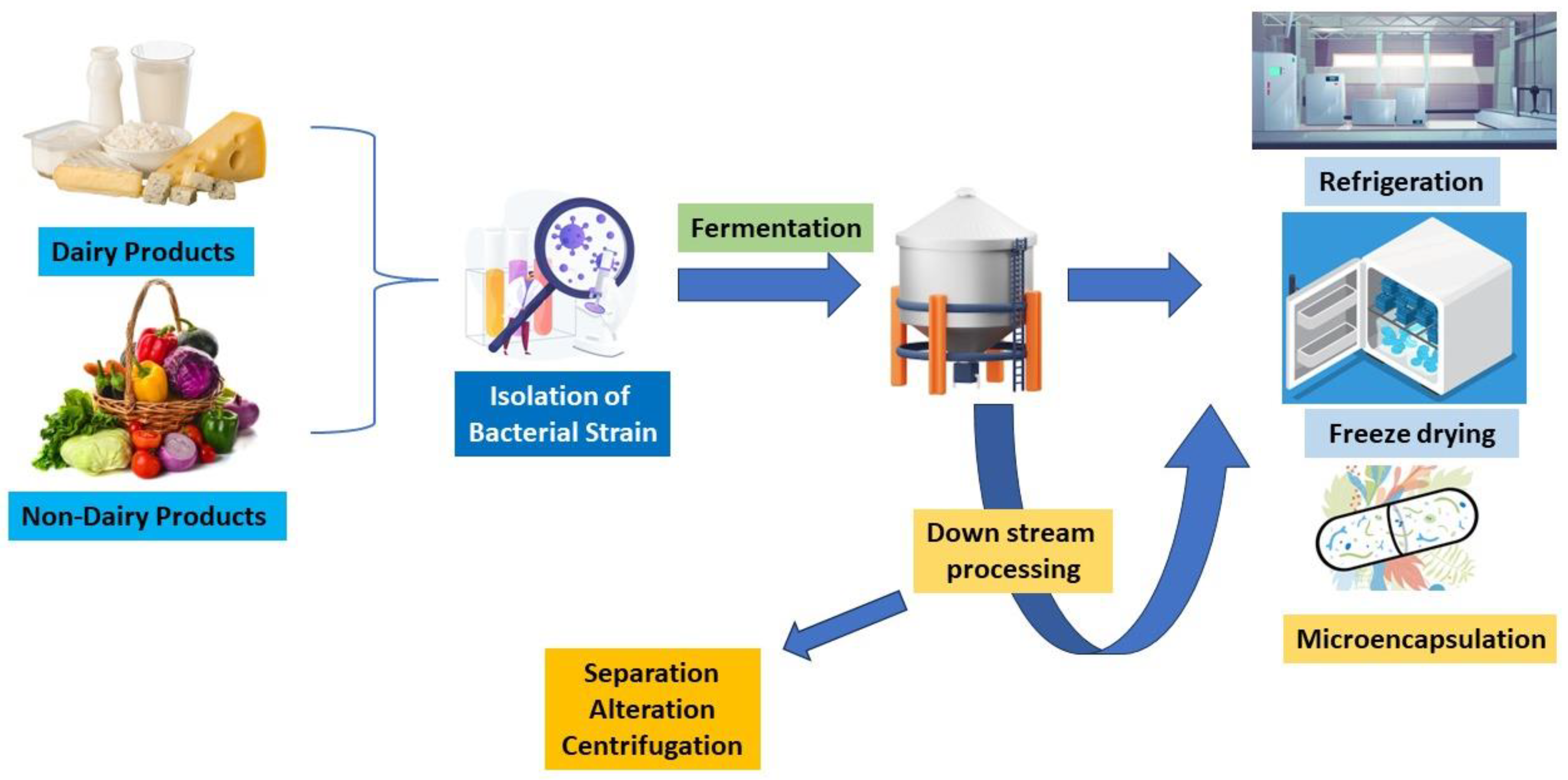 Fermentation 09 00762 g002 550