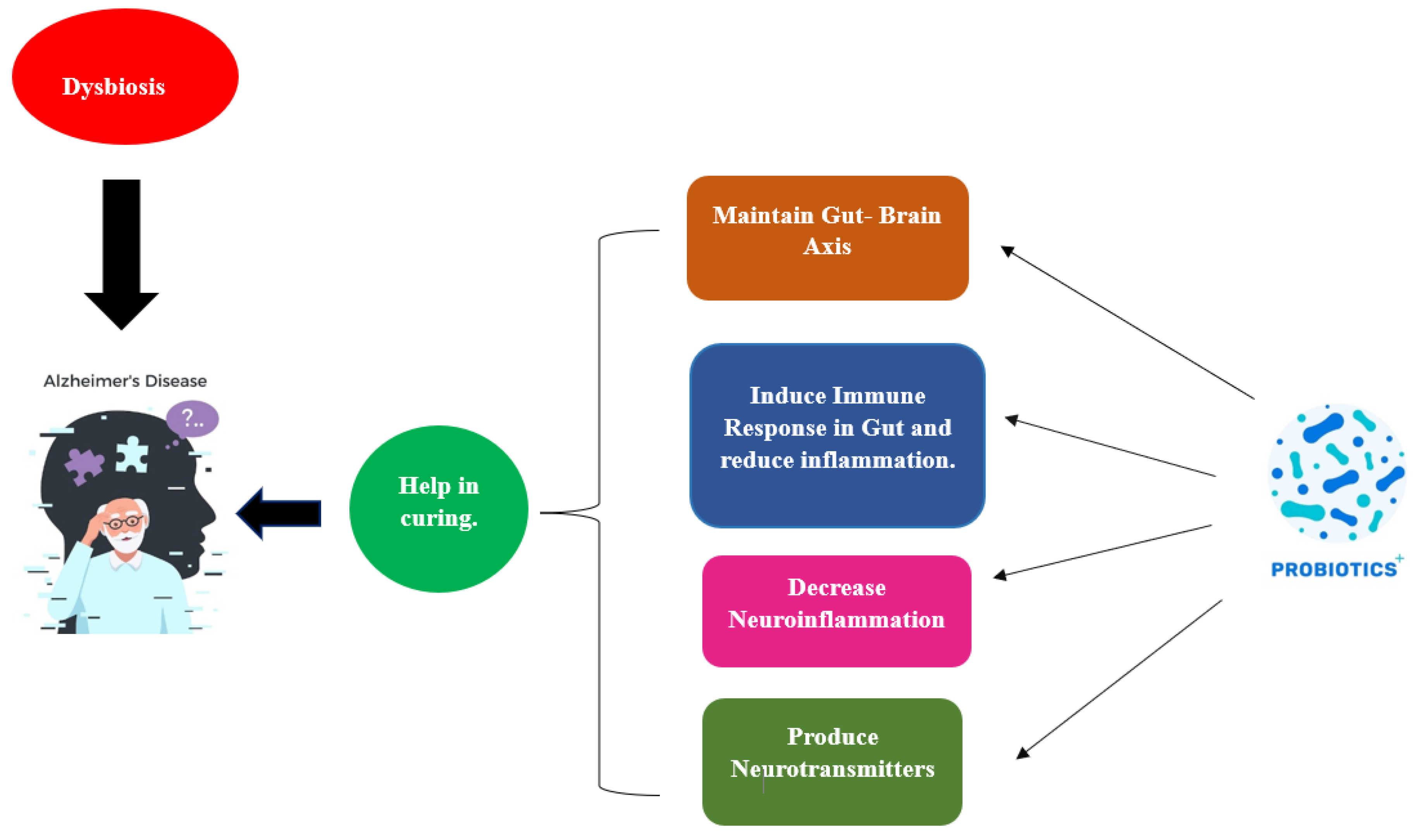 Fermentation 09 00762 g004 550