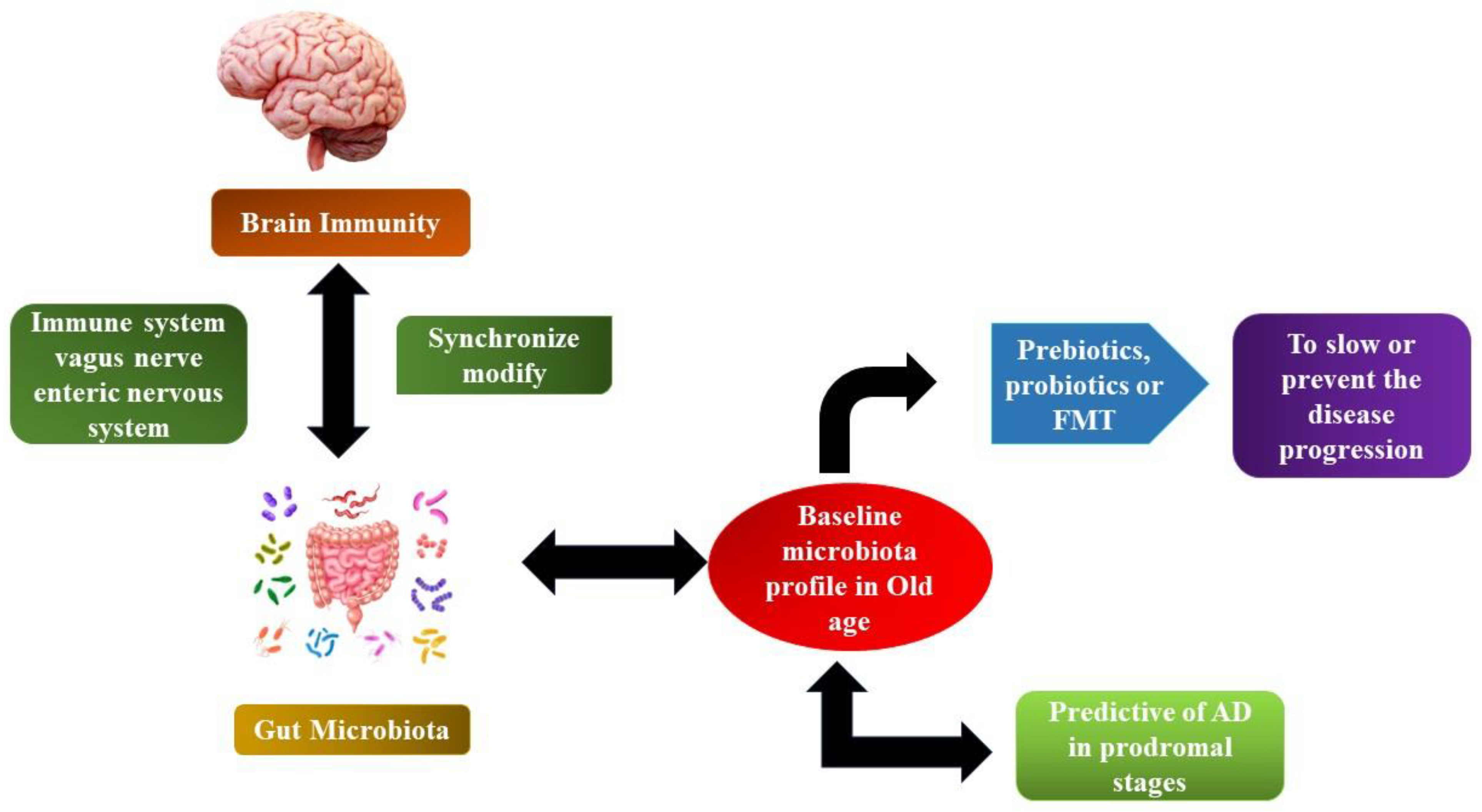 Fermentation 09 00762 g005 550