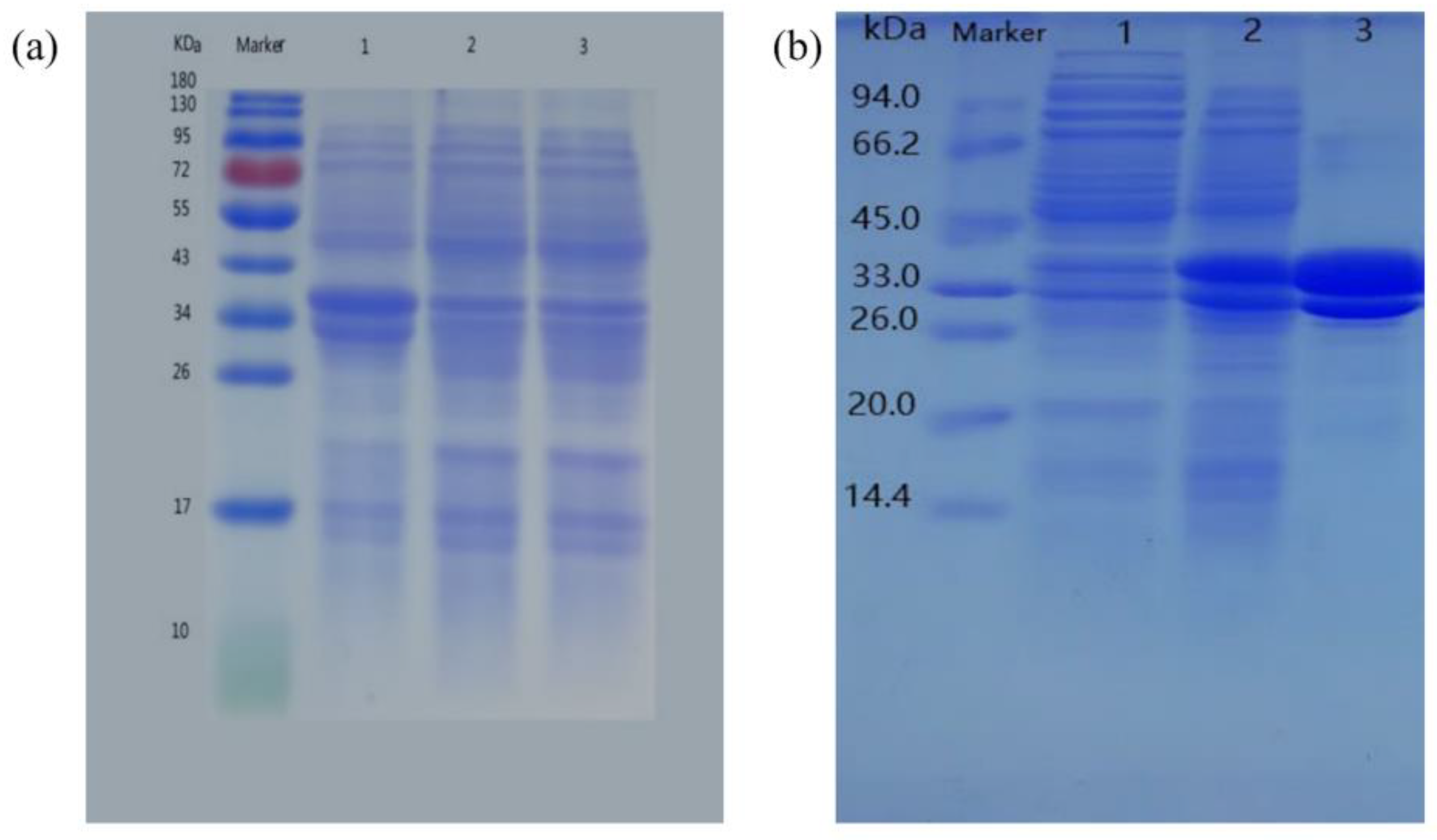 Fermentation 09 00764 g005
