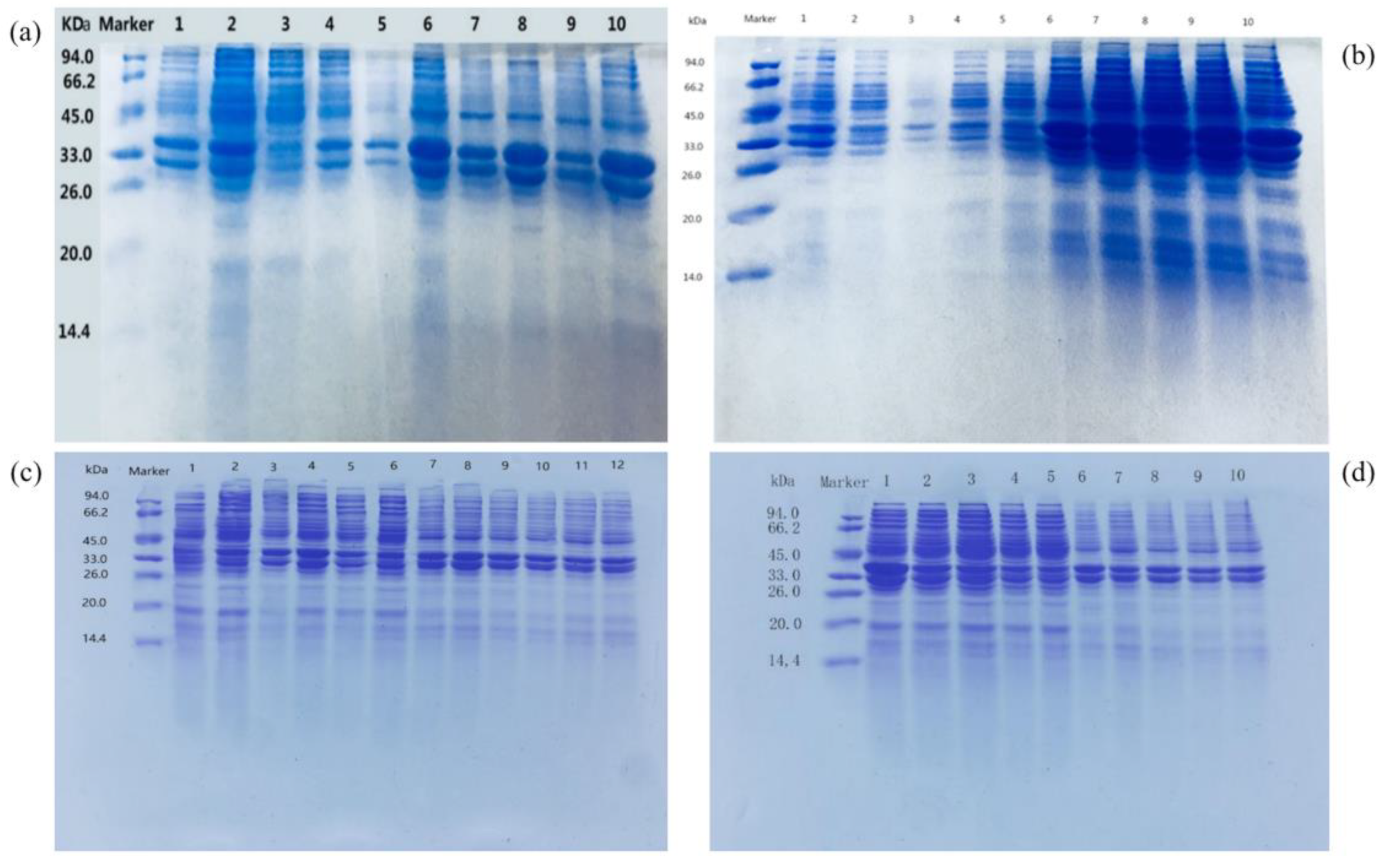 Fermentation 09 00764 g006