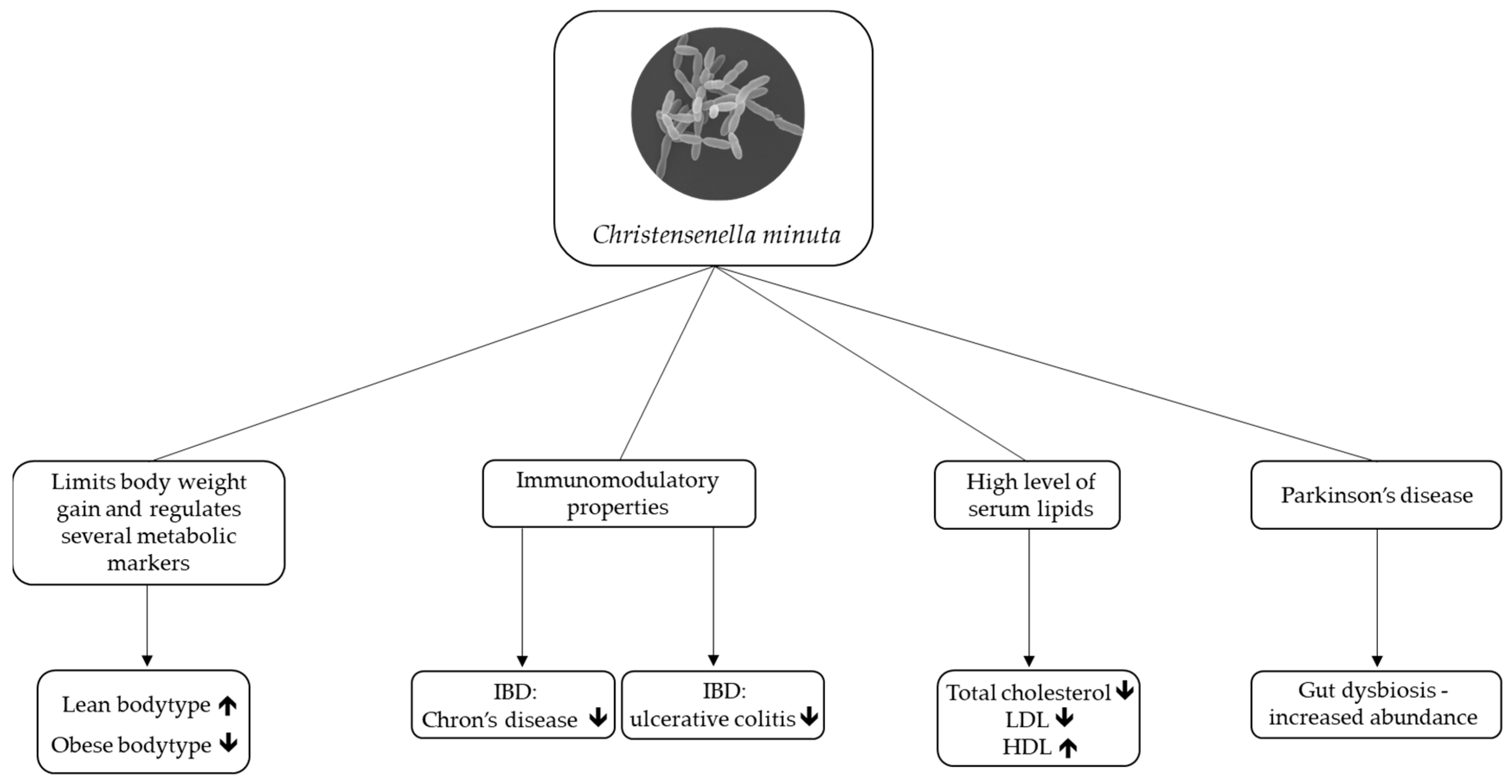 Fermentation 09 00767 g001