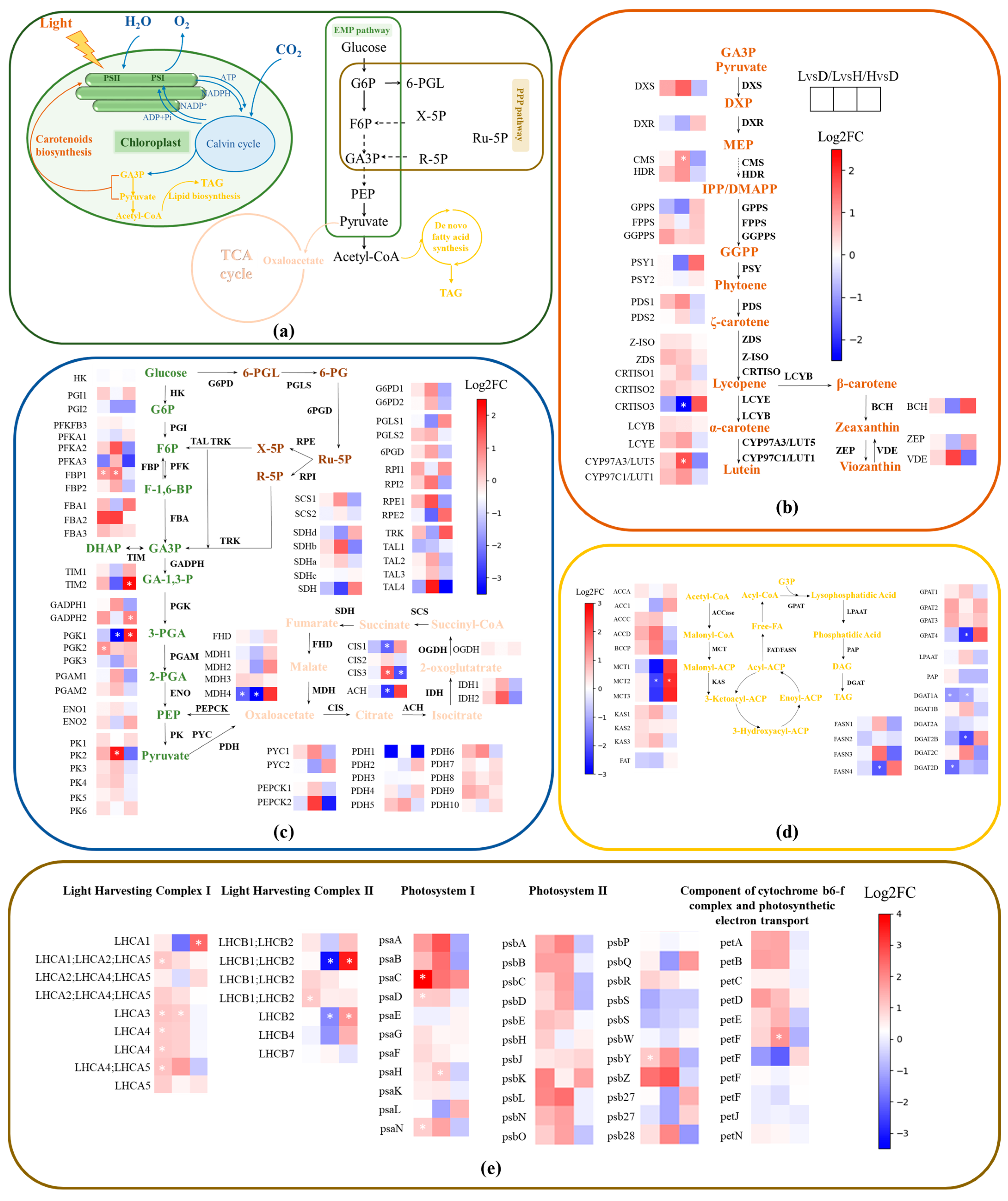 Fermentation 09 00768 g002