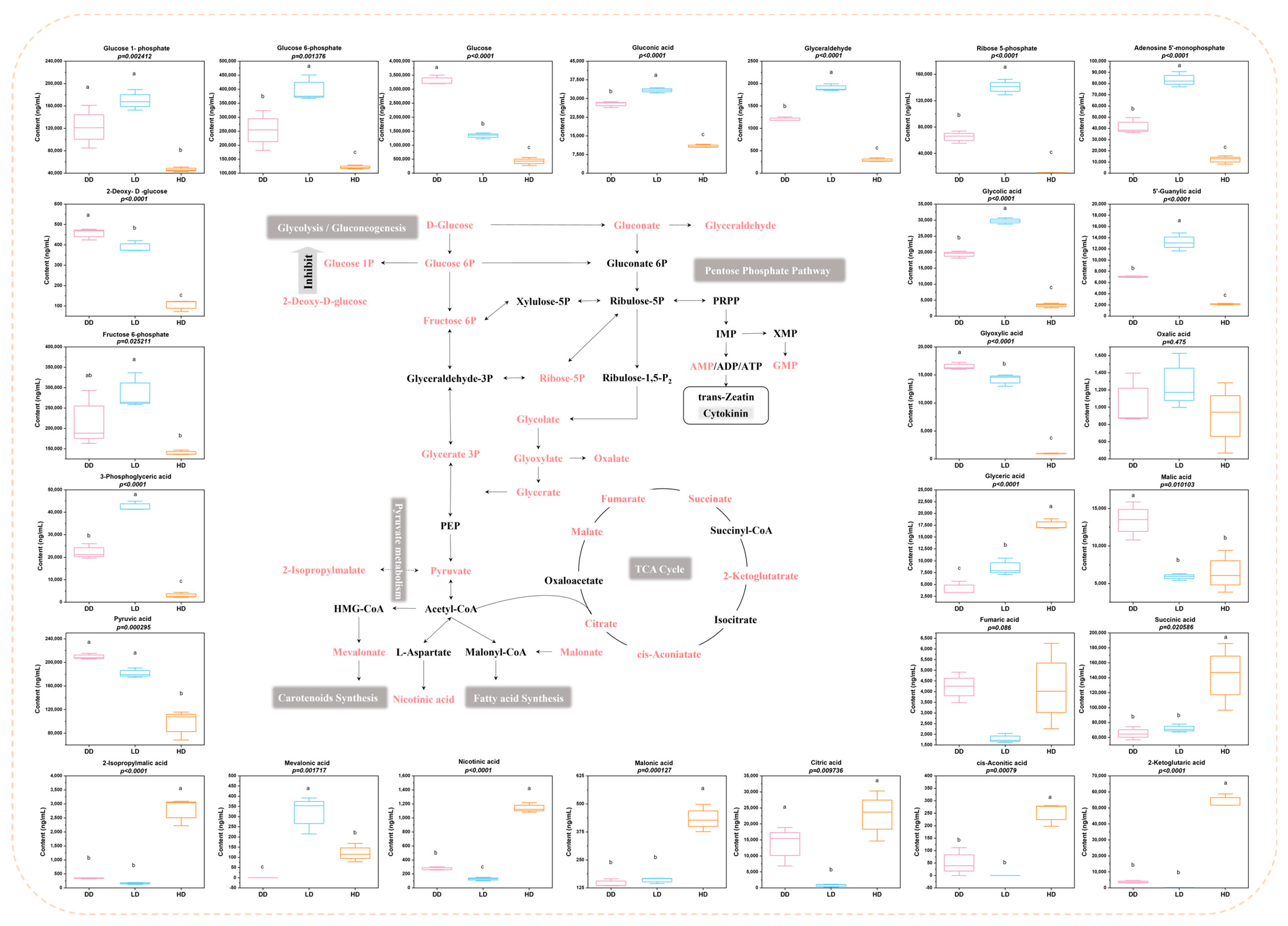 Fermentation 09 00768 g004