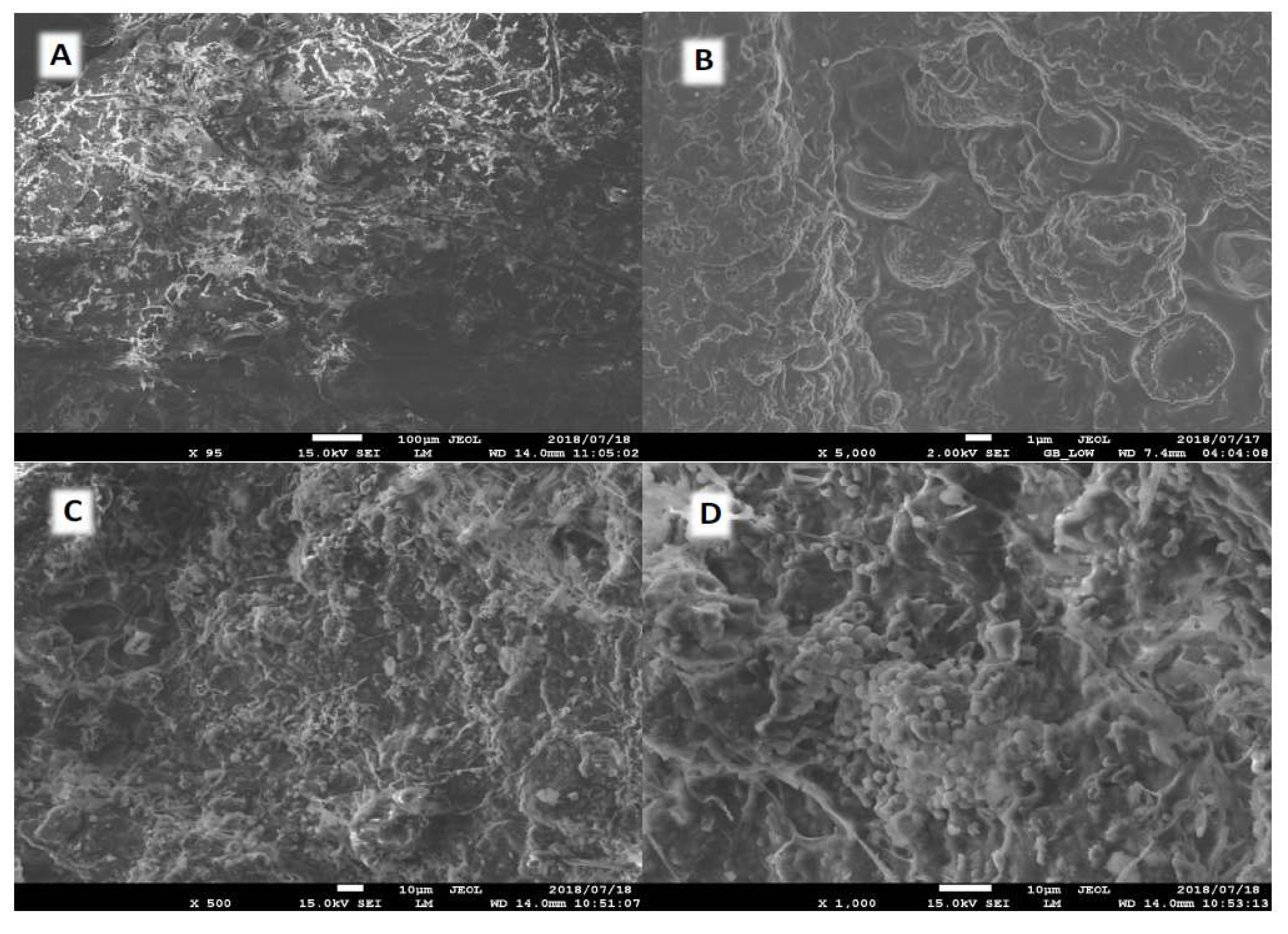 Fermentation 09 00769 g001 Fermentation 09 00769 g001
