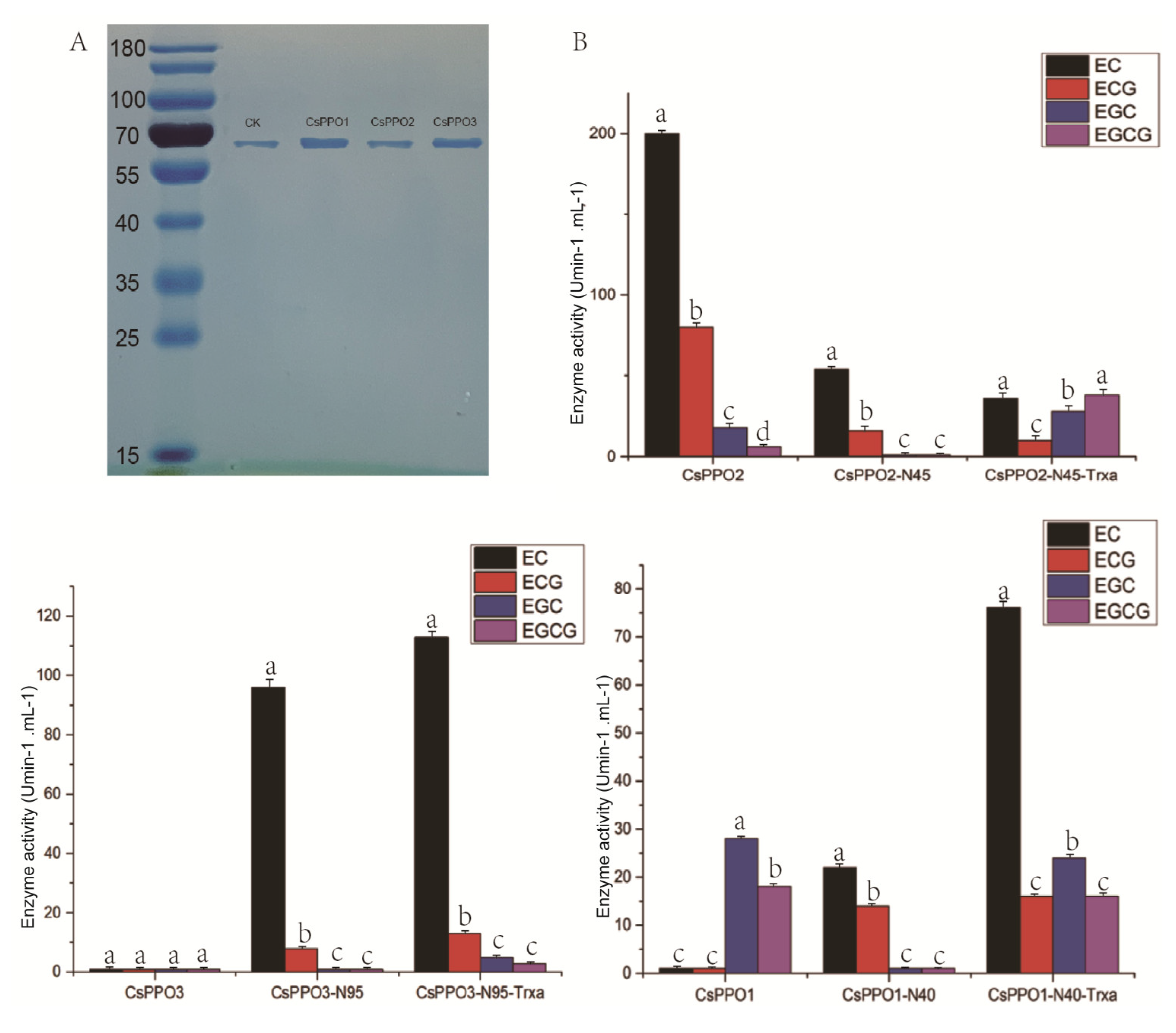 Fermentation 09 00770 g003